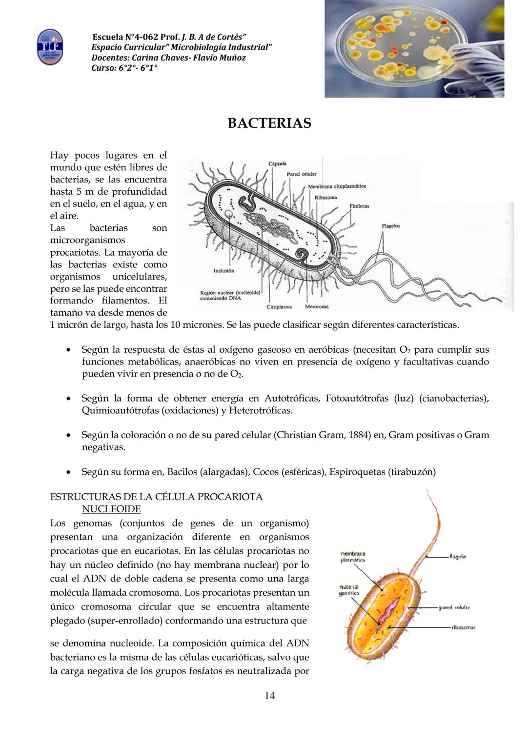 # CUADERNILLO DE
# MICROBIOLOGIA
# INDUSTRIAL
Nombre:
Curso:
Escuela: N°4062 Juana B. Albornoz de Cortes
Profesores: Carina Chaves- Flavio