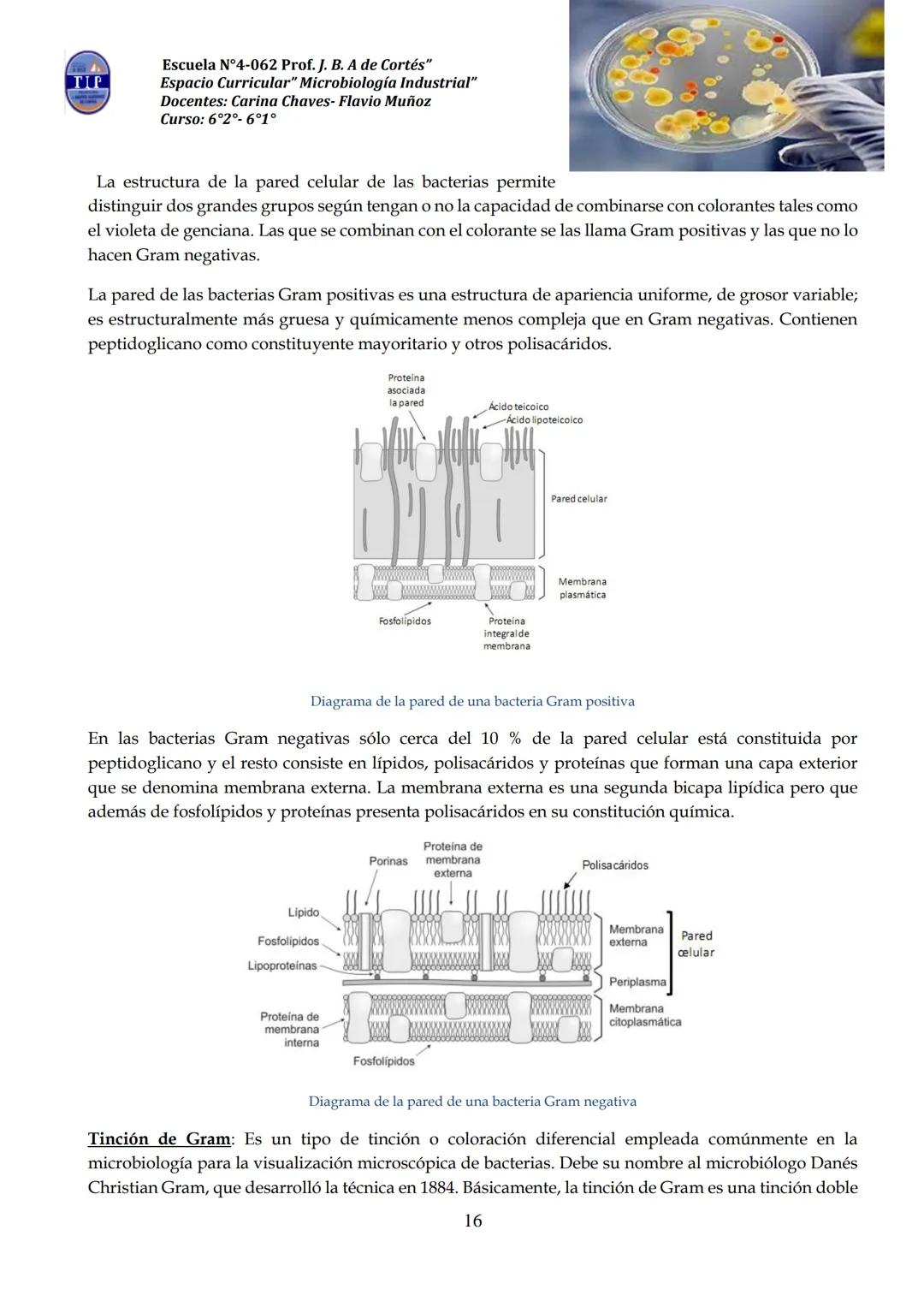 # CUADERNILLO DE
# MICROBIOLOGIA
# INDUSTRIAL
Nombre:
Curso:
Escuela: N°4062 Juana B. Albornoz de Cortes
Profesores: Carina Chaves- Flavio