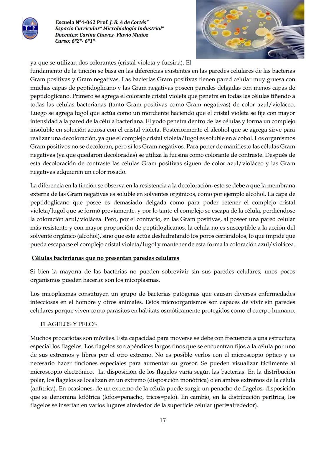 # CUADERNILLO DE
# MICROBIOLOGIA
# INDUSTRIAL
Nombre:
Curso:
Escuela: N°4062 Juana B. Albornoz de Cortes
Profesores: Carina Chaves- Flavio
