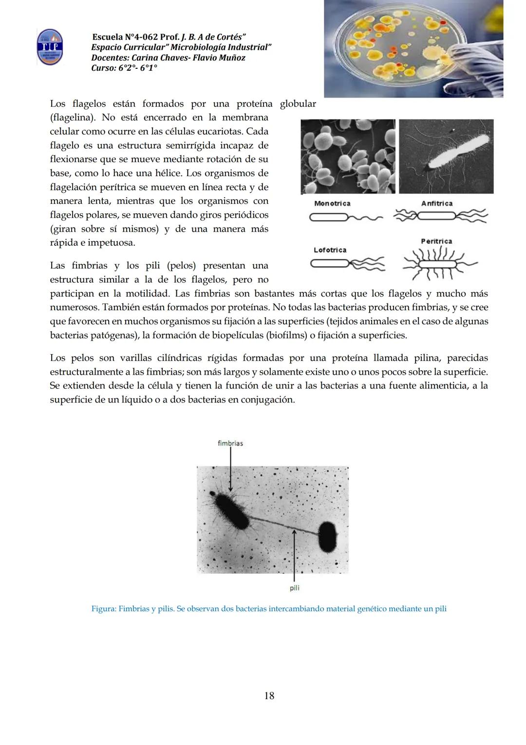 # CUADERNILLO DE
# MICROBIOLOGIA
# INDUSTRIAL
Nombre:
Curso:
Escuela: N°4062 Juana B. Albornoz de Cortes
Profesores: Carina Chaves- Flavio