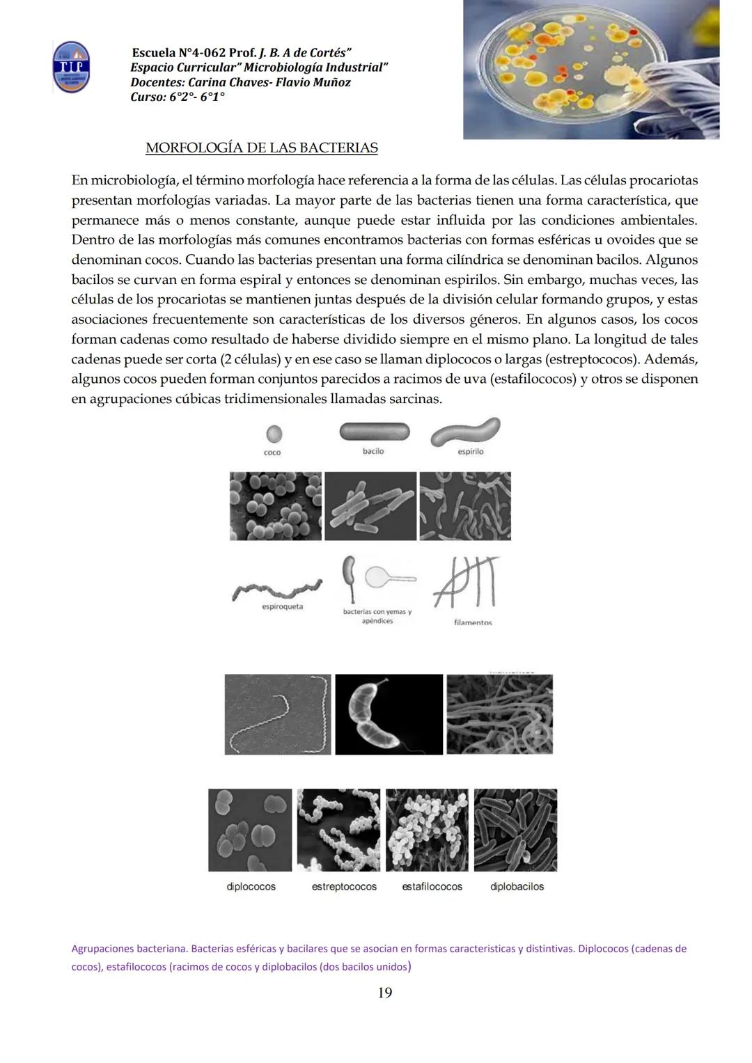 # CUADERNILLO DE
# MICROBIOLOGIA
# INDUSTRIAL
Nombre:
Curso:
Escuela: N°4062 Juana B. Albornoz de Cortes
Profesores: Carina Chaves- Flavio