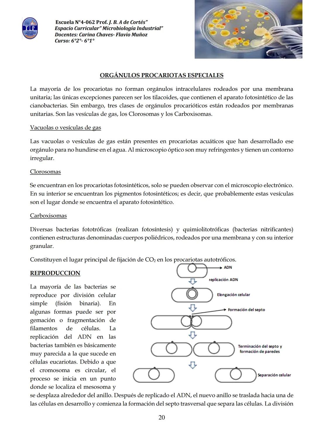 # CUADERNILLO DE
# MICROBIOLOGIA
# INDUSTRIAL
Nombre:
Curso:
Escuela: N°4062 Juana B. Albornoz de Cortes
Profesores: Carina Chaves- Flavio