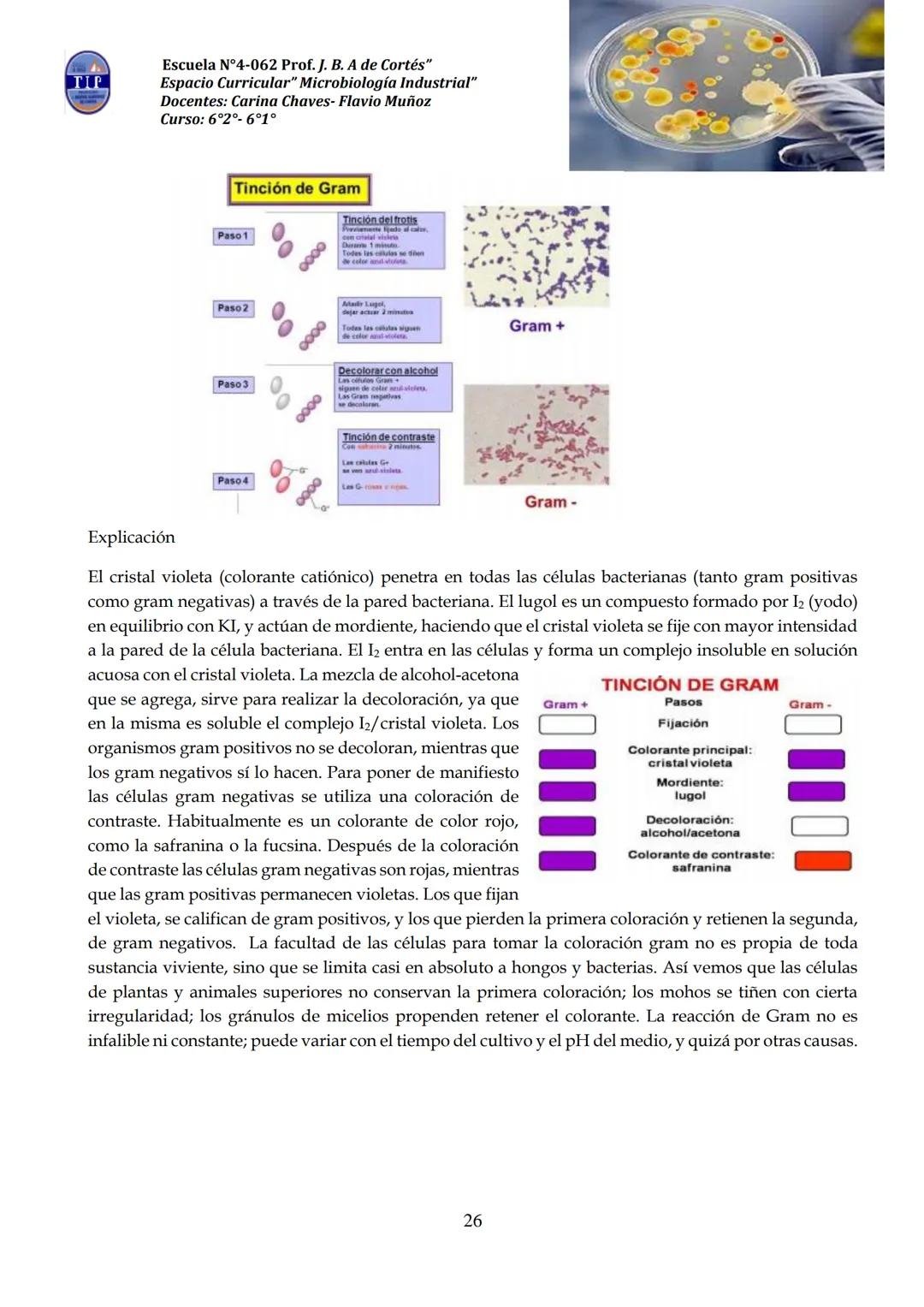 # CUADERNILLO DE
# MICROBIOLOGIA
# INDUSTRIAL
Nombre:
Curso:
Escuela: N°4062 Juana B. Albornoz de Cortes
Profesores: Carina Chaves- Flavio