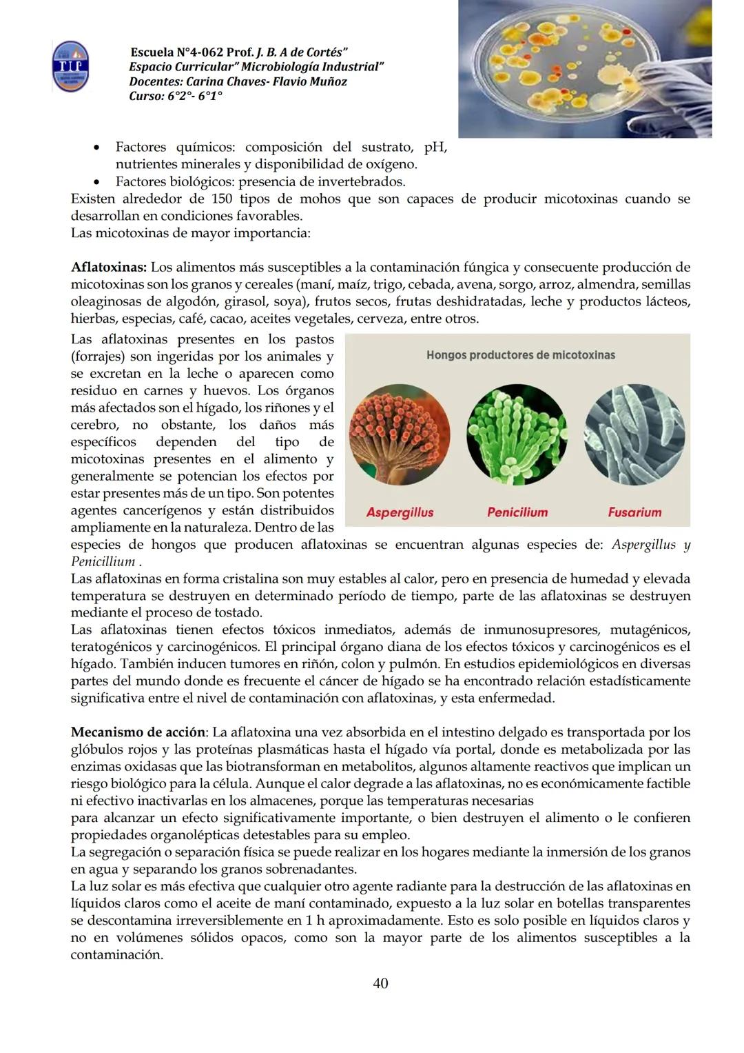 # CUADERNILLO DE
# MICROBIOLOGIA
# INDUSTRIAL
Nombre:
Curso:
Escuela: N°4062 Juana B. Albornoz de Cortes
Profesores: Carina Chaves- Flavio
