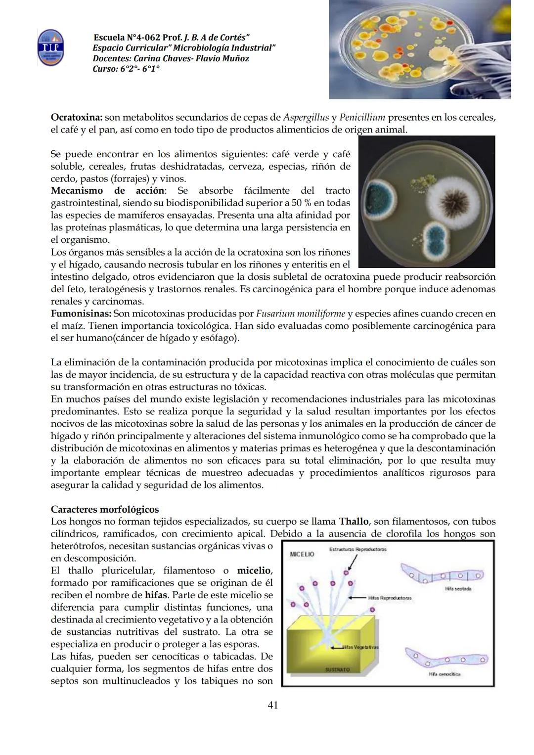 # CUADERNILLO DE
# MICROBIOLOGIA
# INDUSTRIAL
Nombre:
Curso:
Escuela: N°4062 Juana B. Albornoz de Cortes
Profesores: Carina Chaves- Flavio