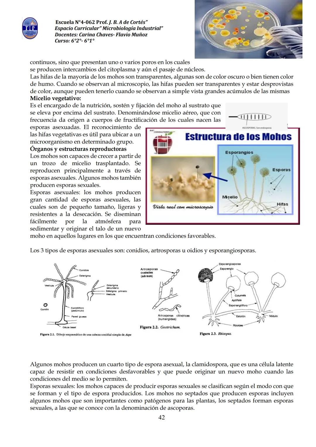 # CUADERNILLO DE
# MICROBIOLOGIA
# INDUSTRIAL
Nombre:
Curso:
Escuela: N°4062 Juana B. Albornoz de Cortes
Profesores: Carina Chaves- Flavio