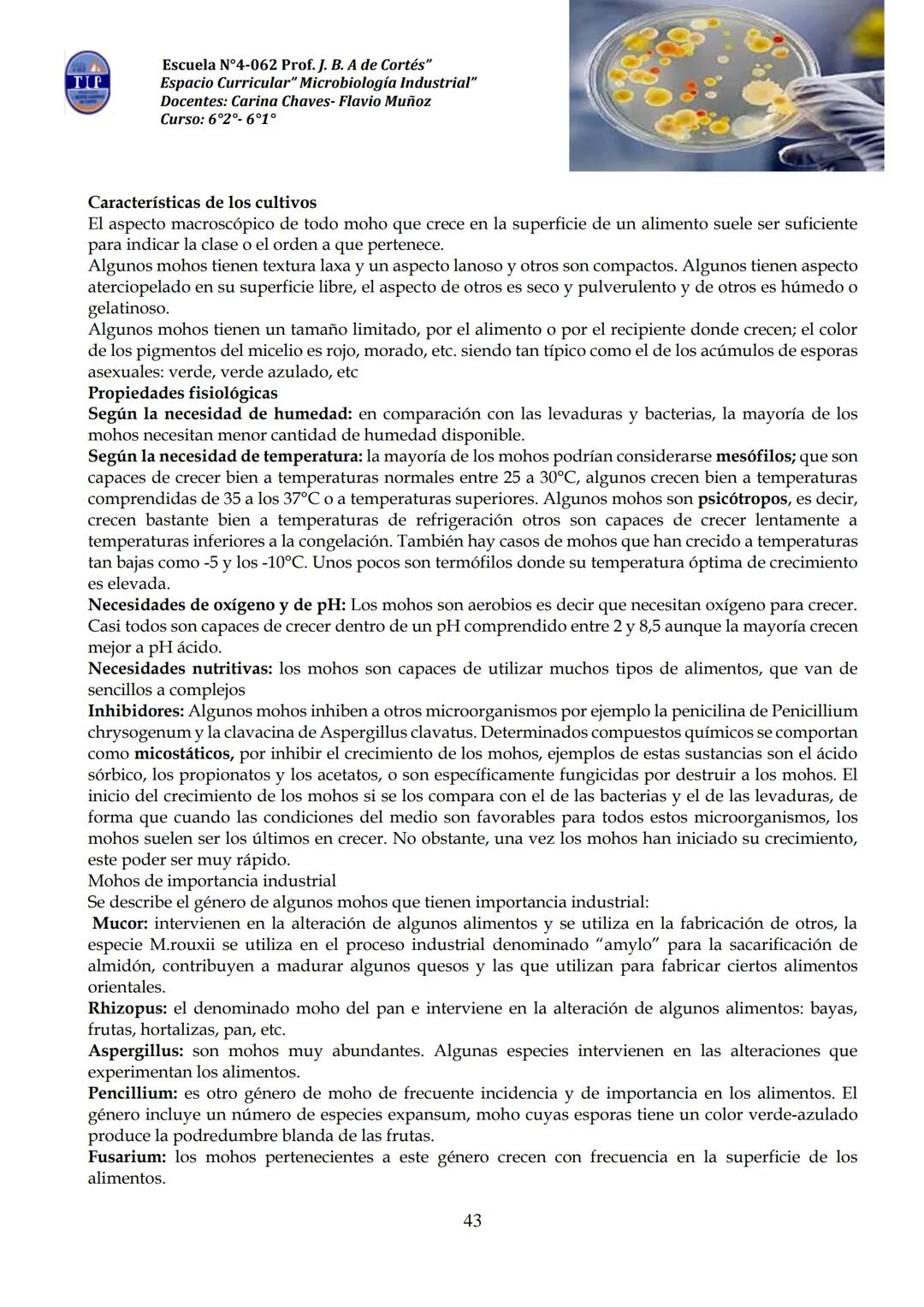 # CUADERNILLO DE
# MICROBIOLOGIA
# INDUSTRIAL
Nombre:
Curso:
Escuela: N°4062 Juana B. Albornoz de Cortes
Profesores: Carina Chaves- Flavio