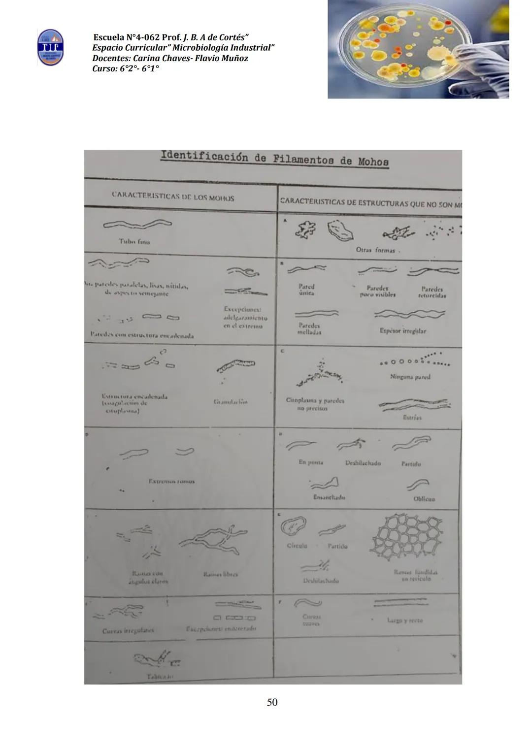 # CUADERNILLO DE
# MICROBIOLOGIA
# INDUSTRIAL
Nombre:
Curso:
Escuela: N°4062 Juana B. Albornoz de Cortes
Profesores: Carina Chaves- Flavio