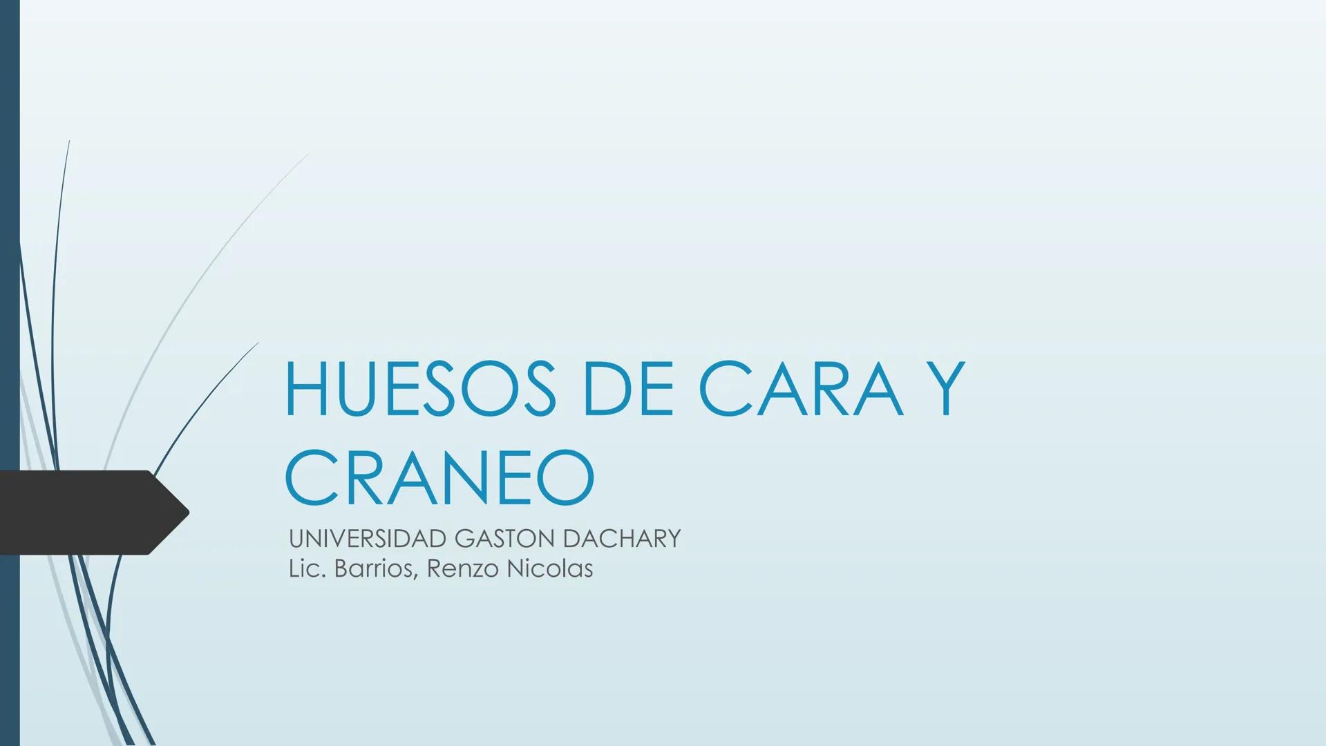 # HUESOS DE CARA Y
# CRANEO
UNIVERSIDAD GASTON DACHARY
Lic. Barrios, Renzo Nicolas HUESOS DE LA CABEZA
• El esqueleto de la
cabeza se divid