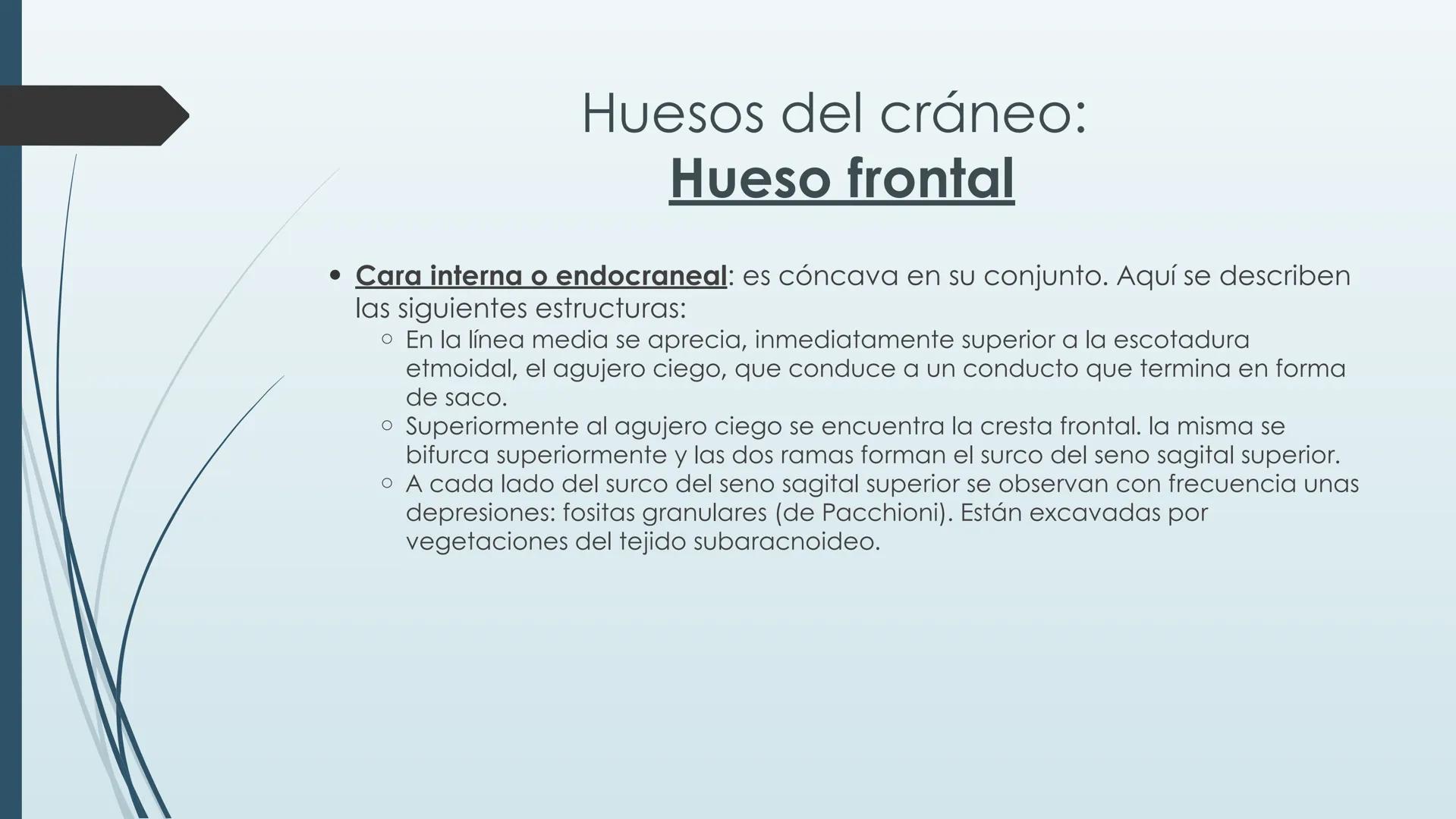 # HUESOS DE CARA Y
# CRANEO
UNIVERSIDAD GASTON DACHARY
Lic. Barrios, Renzo Nicolas HUESOS DE LA CABEZA
• El esqueleto de la
cabeza se divid