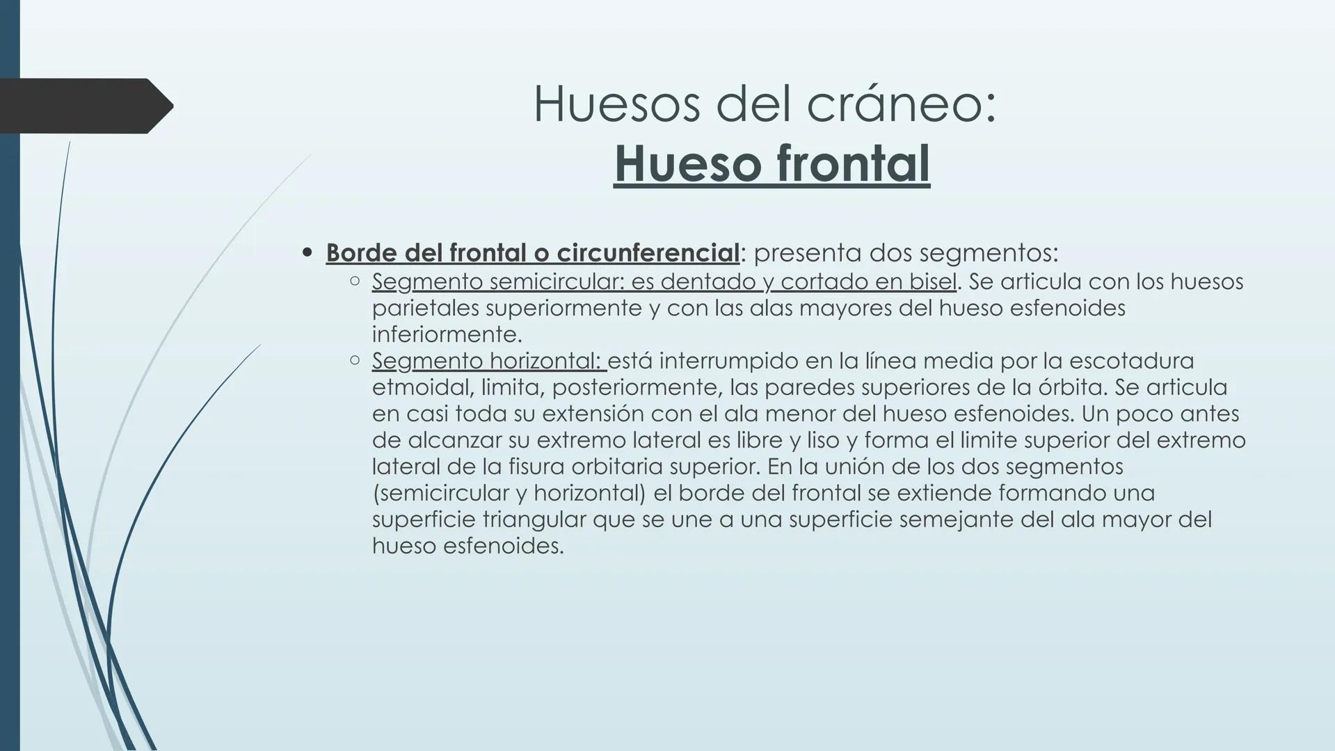 # HUESOS DE CARA Y
# CRANEO
UNIVERSIDAD GASTON DACHARY
Lic. Barrios, Renzo Nicolas HUESOS DE LA CABEZA
• El esqueleto de la
cabeza se divid