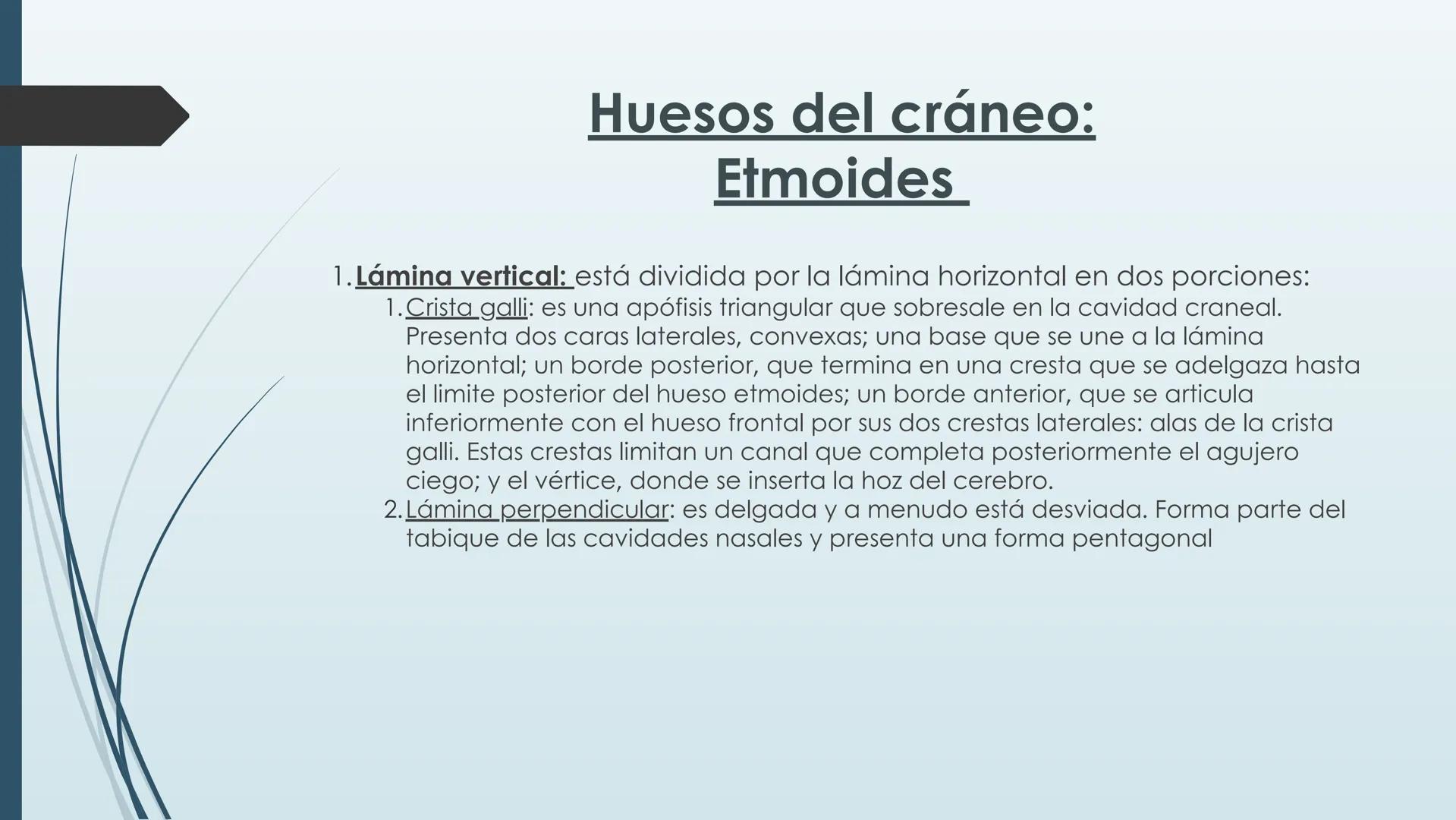 # HUESOS DE CARA Y
# CRANEO
UNIVERSIDAD GASTON DACHARY
Lic. Barrios, Renzo Nicolas HUESOS DE LA CABEZA
• El esqueleto de la
cabeza se divid