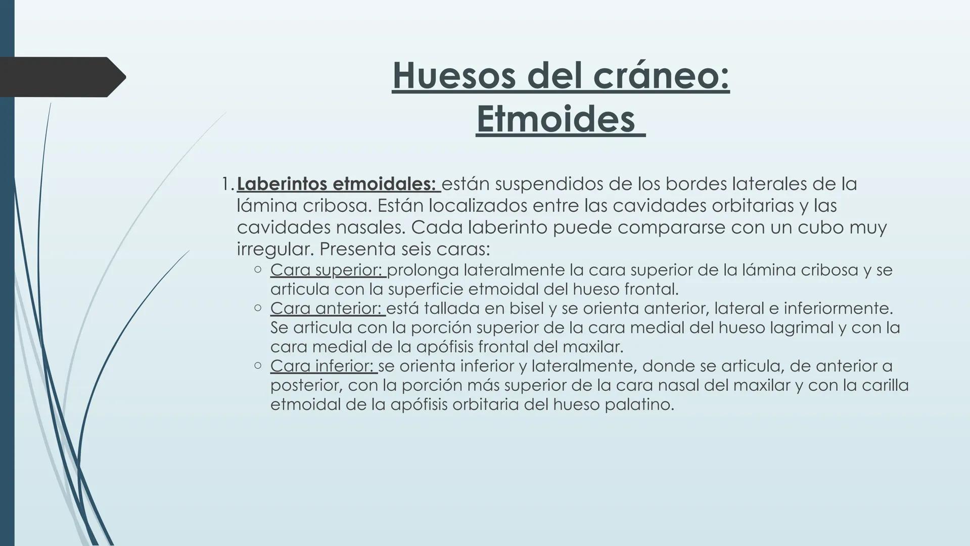 # HUESOS DE CARA Y
# CRANEO
UNIVERSIDAD GASTON DACHARY
Lic. Barrios, Renzo Nicolas HUESOS DE LA CABEZA
• El esqueleto de la
cabeza se divid