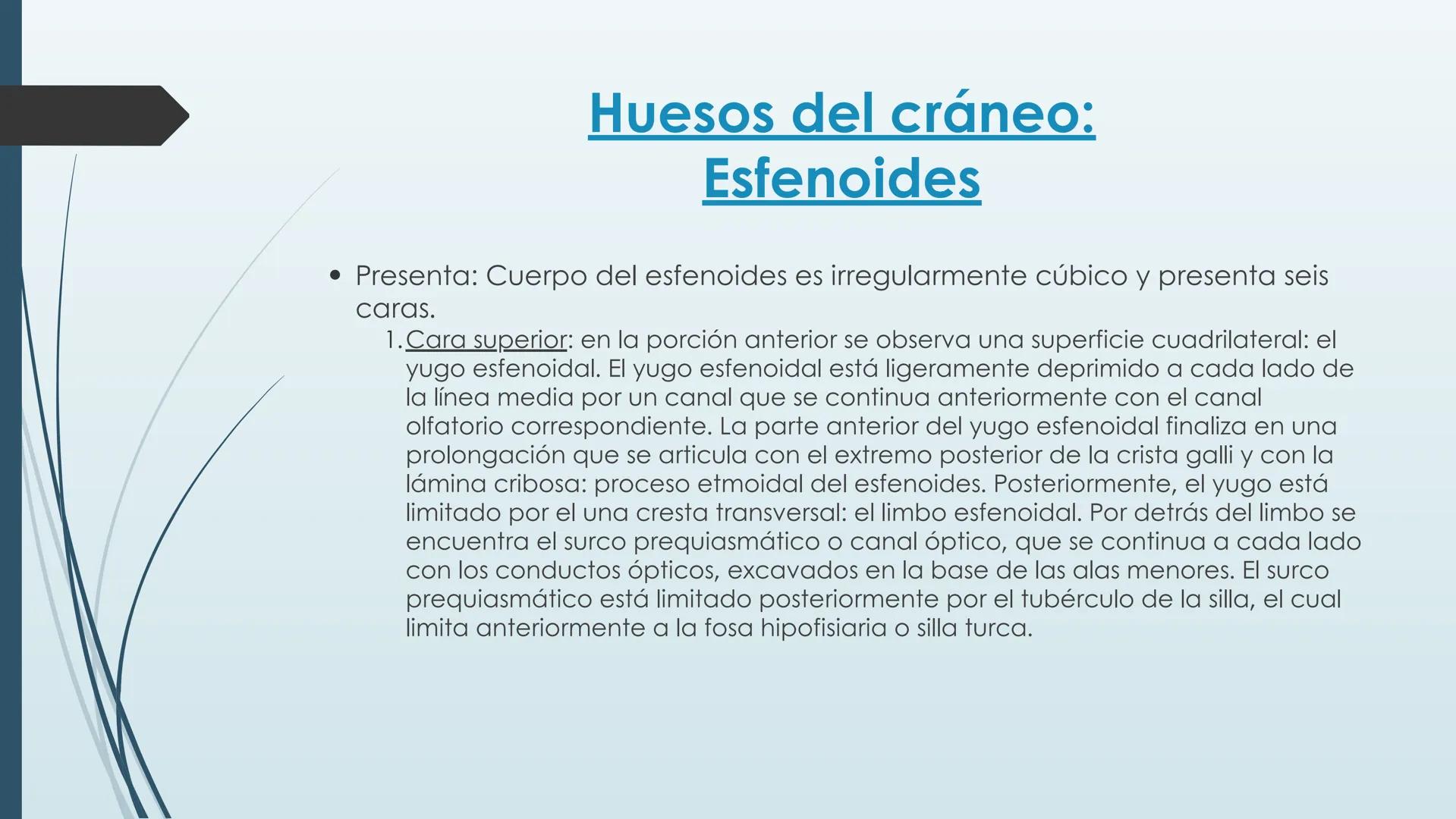 # HUESOS DE CARA Y
# CRANEO
UNIVERSIDAD GASTON DACHARY
Lic. Barrios, Renzo Nicolas HUESOS DE LA CABEZA
• El esqueleto de la
cabeza se divid