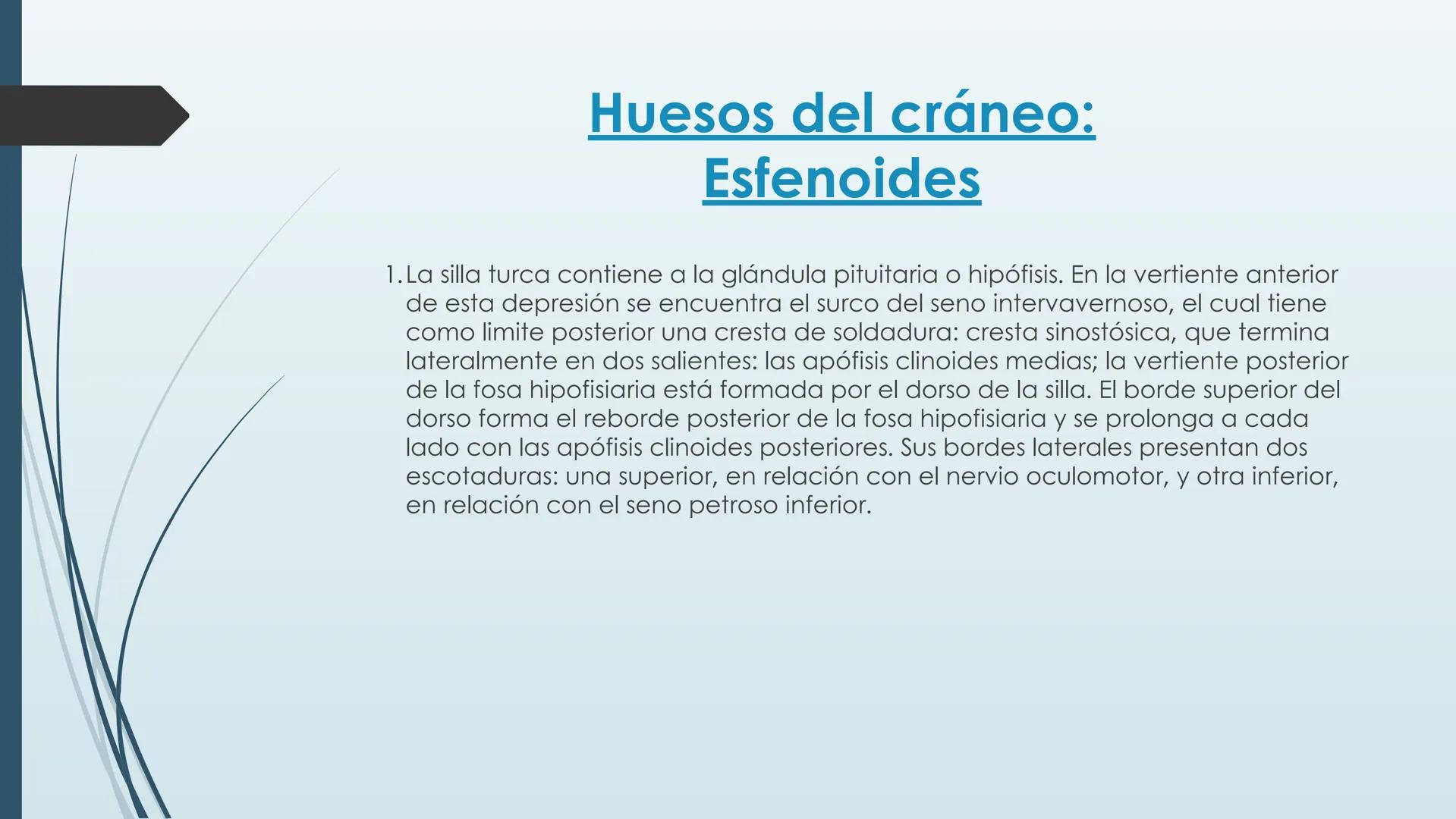 # HUESOS DE CARA Y
# CRANEO
UNIVERSIDAD GASTON DACHARY
Lic. Barrios, Renzo Nicolas HUESOS DE LA CABEZA
• El esqueleto de la
cabeza se divid