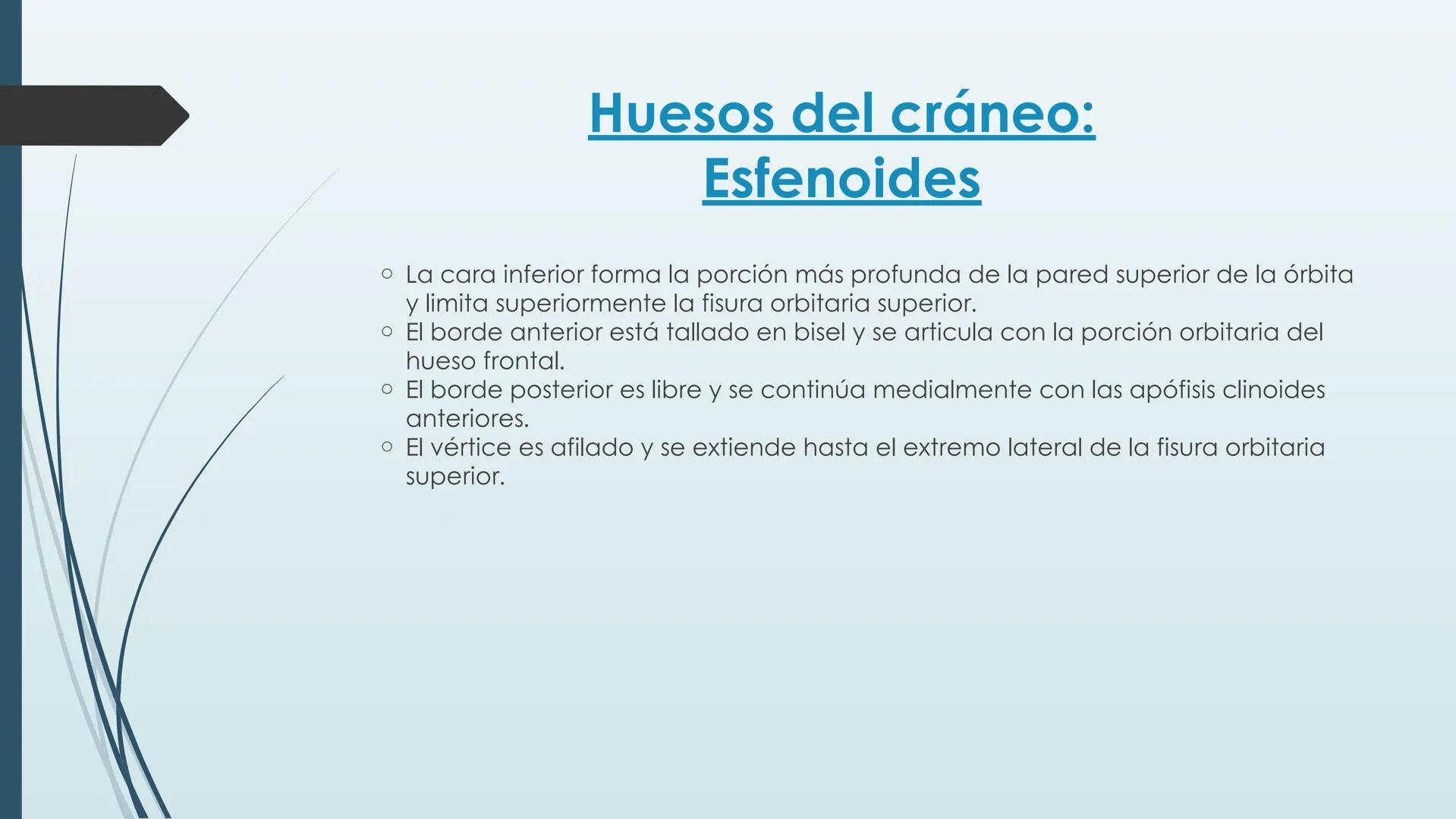 # HUESOS DE CARA Y
# CRANEO
UNIVERSIDAD GASTON DACHARY
Lic. Barrios, Renzo Nicolas HUESOS DE LA CABEZA
• El esqueleto de la
cabeza se divid