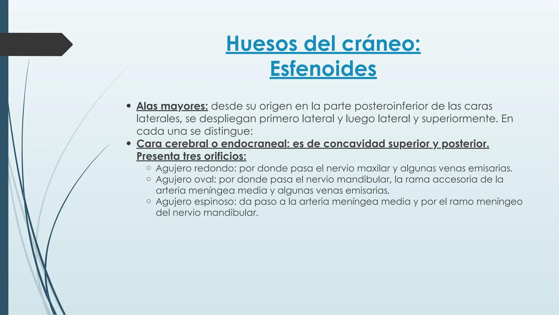 # HUESOS DE CARA Y
# CRANEO
UNIVERSIDAD GASTON DACHARY
Lic. Barrios, Renzo Nicolas HUESOS DE LA CABEZA
• El esqueleto de la
cabeza se divid