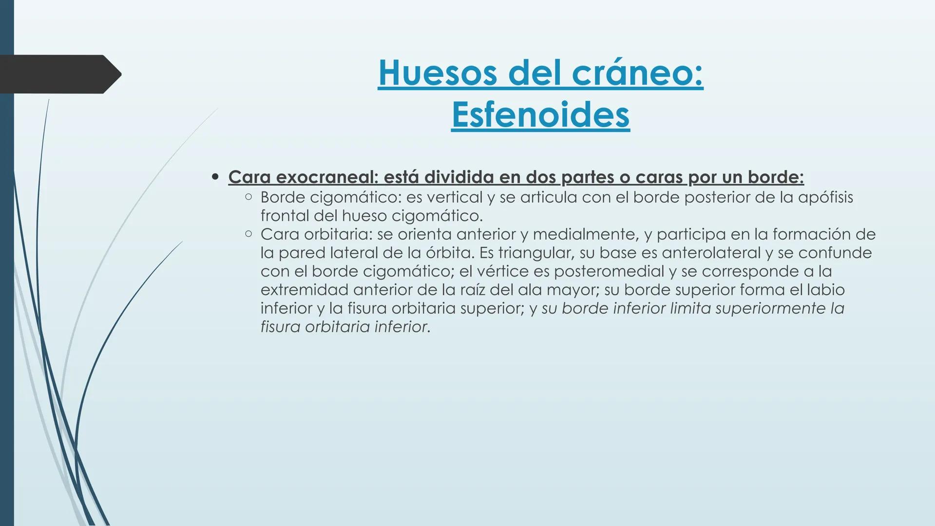 # HUESOS DE CARA Y
# CRANEO
UNIVERSIDAD GASTON DACHARY
Lic. Barrios, Renzo Nicolas HUESOS DE LA CABEZA
• El esqueleto de la
cabeza se divid