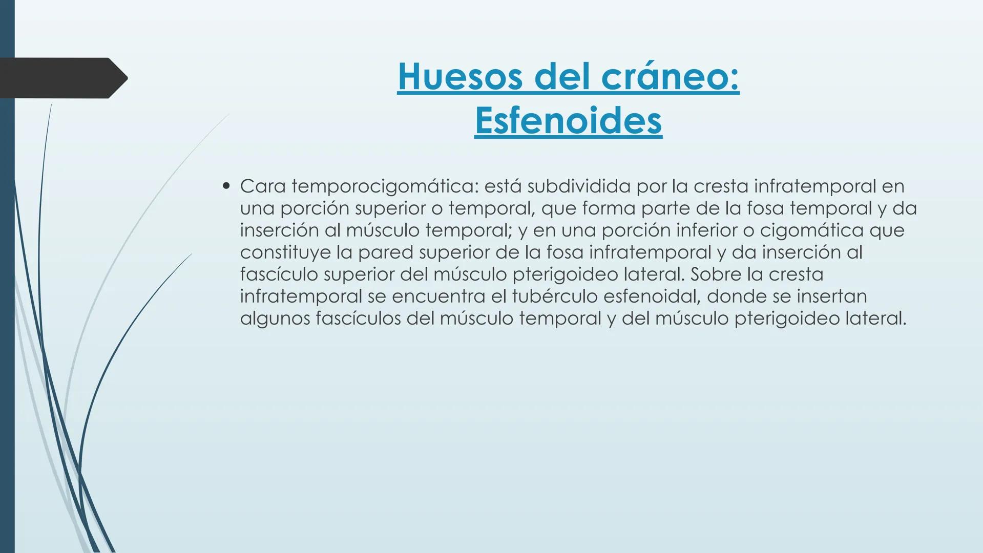 # HUESOS DE CARA Y
# CRANEO
UNIVERSIDAD GASTON DACHARY
Lic. Barrios, Renzo Nicolas HUESOS DE LA CABEZA
• El esqueleto de la
cabeza se divid