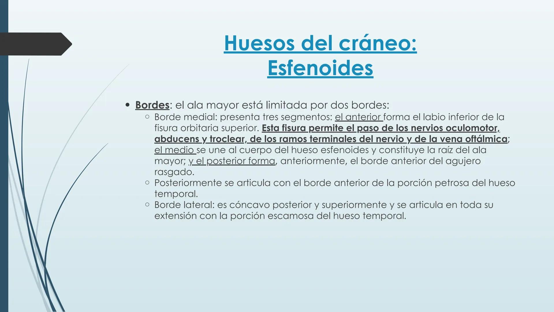 # HUESOS DE CARA Y
# CRANEO
UNIVERSIDAD GASTON DACHARY
Lic. Barrios, Renzo Nicolas HUESOS DE LA CABEZA
• El esqueleto de la
cabeza se divid