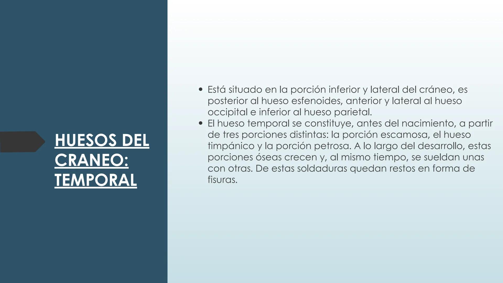 # HUESOS DE CARA Y
# CRANEO
UNIVERSIDAD GASTON DACHARY
Lic. Barrios, Renzo Nicolas HUESOS DE LA CABEZA
• El esqueleto de la
cabeza se divid