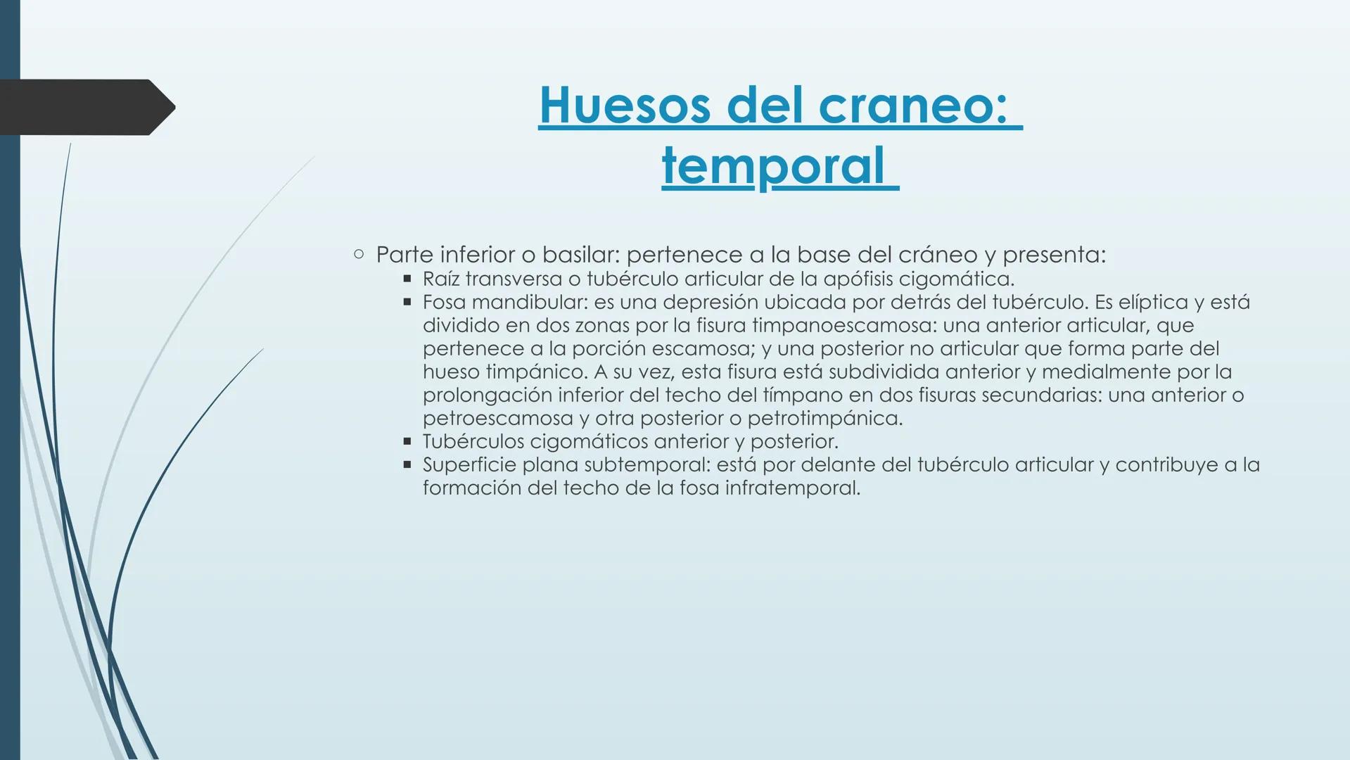 # HUESOS DE CARA Y
# CRANEO
UNIVERSIDAD GASTON DACHARY
Lic. Barrios, Renzo Nicolas HUESOS DE LA CABEZA
• El esqueleto de la
cabeza se divid