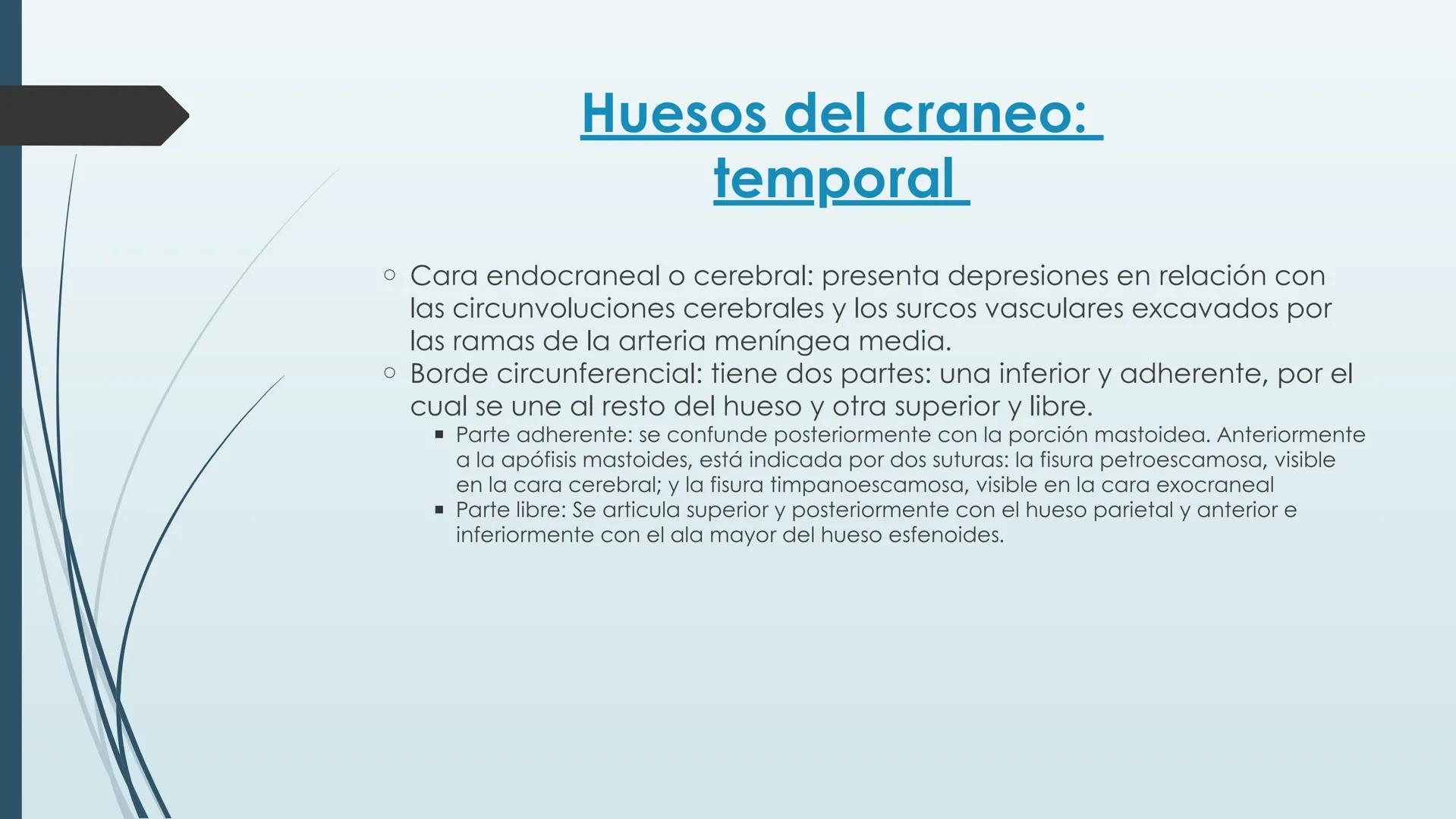 # HUESOS DE CARA Y
# CRANEO
UNIVERSIDAD GASTON DACHARY
Lic. Barrios, Renzo Nicolas HUESOS DE LA CABEZA
• El esqueleto de la
cabeza se divid