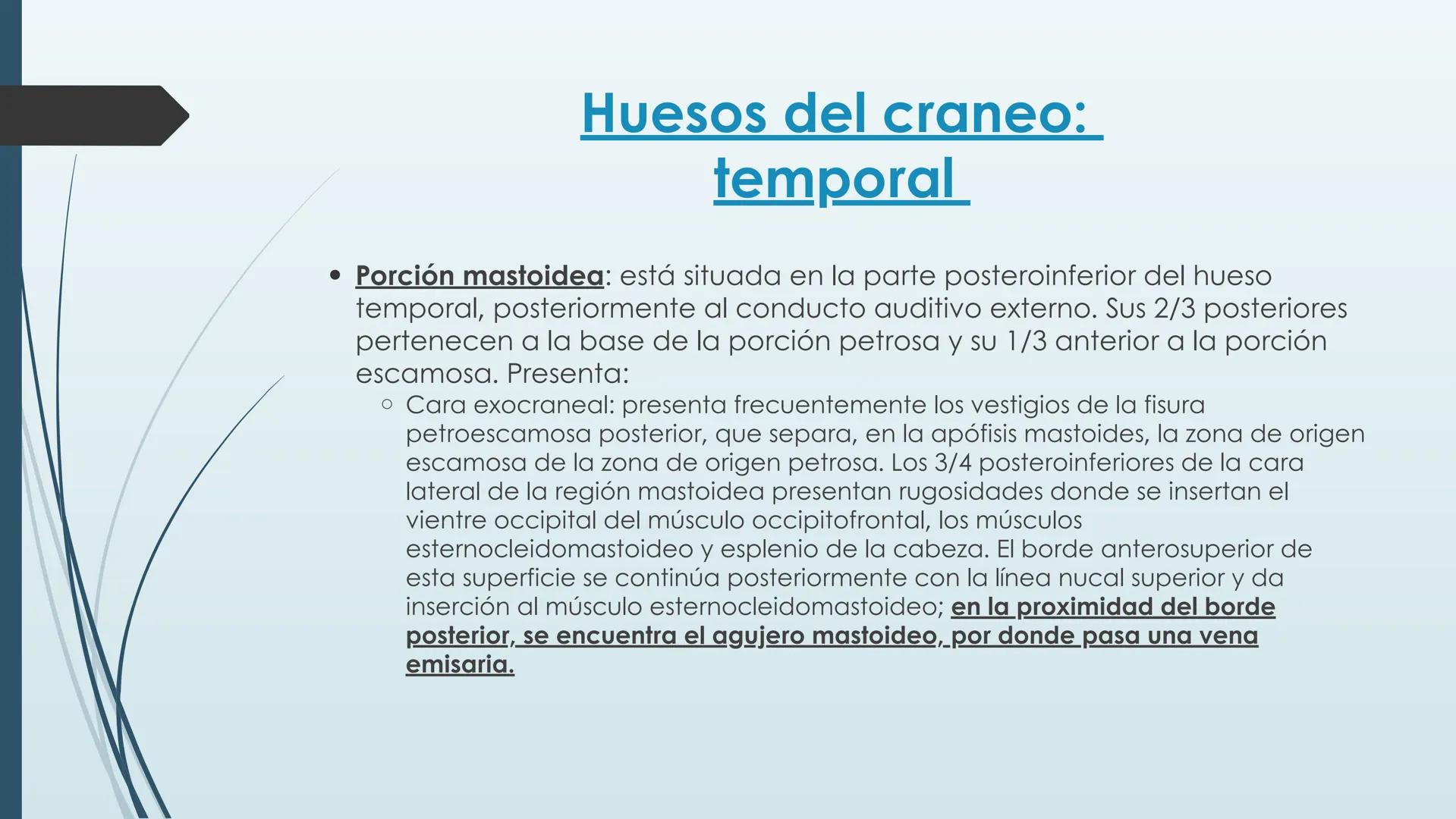 # HUESOS DE CARA Y
# CRANEO
UNIVERSIDAD GASTON DACHARY
Lic. Barrios, Renzo Nicolas HUESOS DE LA CABEZA
• El esqueleto de la
cabeza se divid