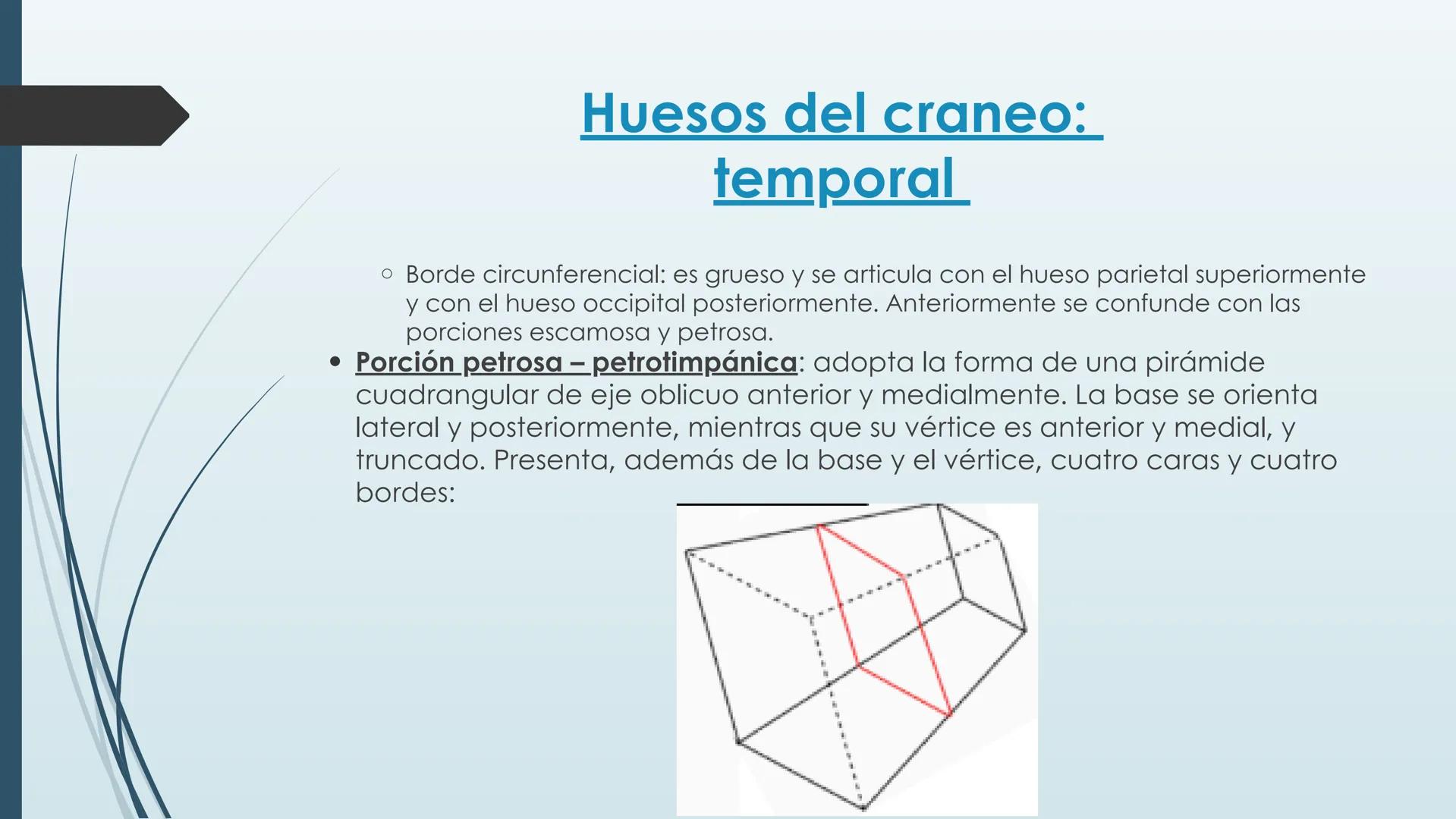 # HUESOS DE CARA Y
# CRANEO
UNIVERSIDAD GASTON DACHARY
Lic. Barrios, Renzo Nicolas HUESOS DE LA CABEZA
• El esqueleto de la
cabeza se divid