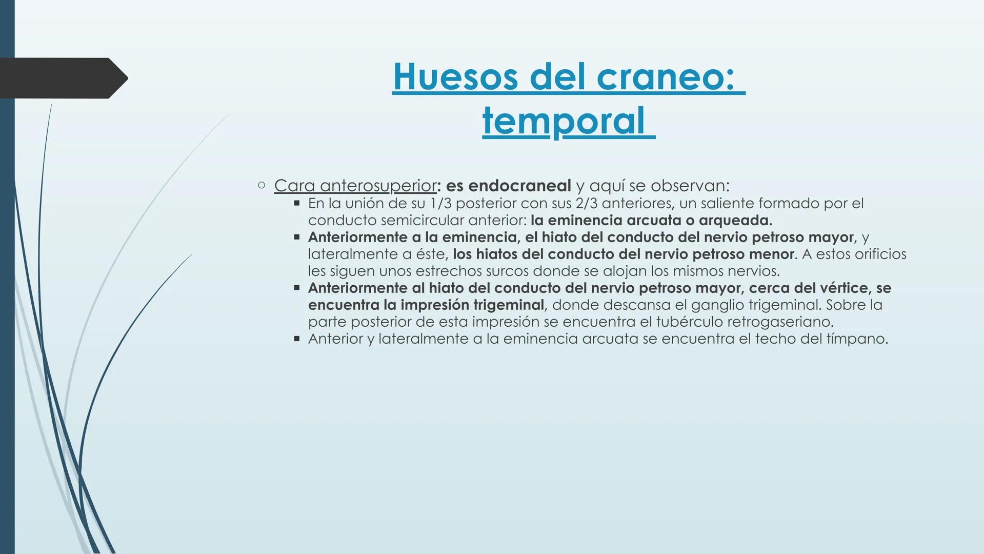 # HUESOS DE CARA Y
# CRANEO
UNIVERSIDAD GASTON DACHARY
Lic. Barrios, Renzo Nicolas HUESOS DE LA CABEZA
• El esqueleto de la
cabeza se divid