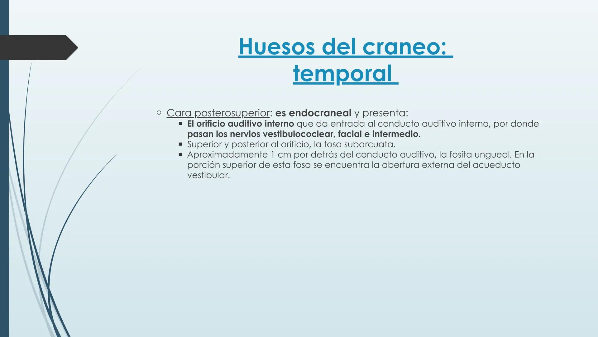 # HUESOS DE CARA Y
# CRANEO
UNIVERSIDAD GASTON DACHARY
Lic. Barrios, Renzo Nicolas HUESOS DE LA CABEZA
• El esqueleto de la
cabeza se divid