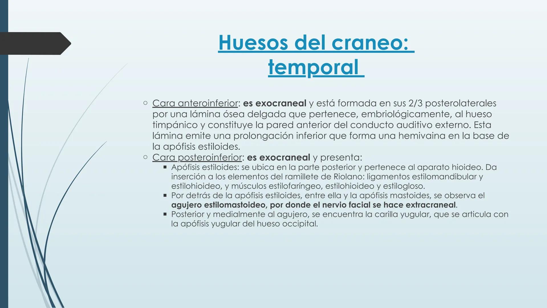 # HUESOS DE CARA Y
# CRANEO
UNIVERSIDAD GASTON DACHARY
Lic. Barrios, Renzo Nicolas HUESOS DE LA CABEZA
• El esqueleto de la
cabeza se divid