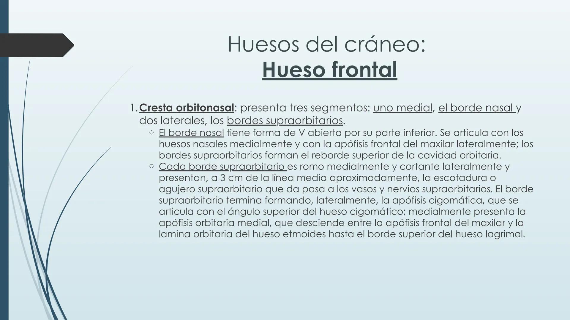 # HUESOS DE CARA Y
# CRANEO
UNIVERSIDAD GASTON DACHARY
Lic. Barrios, Renzo Nicolas HUESOS DE LA CABEZA
• El esqueleto de la
cabeza se divid