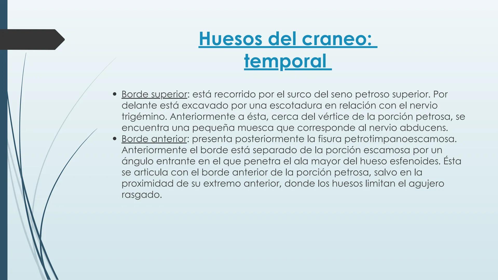 # HUESOS DE CARA Y
# CRANEO
UNIVERSIDAD GASTON DACHARY
Lic. Barrios, Renzo Nicolas HUESOS DE LA CABEZA
• El esqueleto de la
cabeza se divid