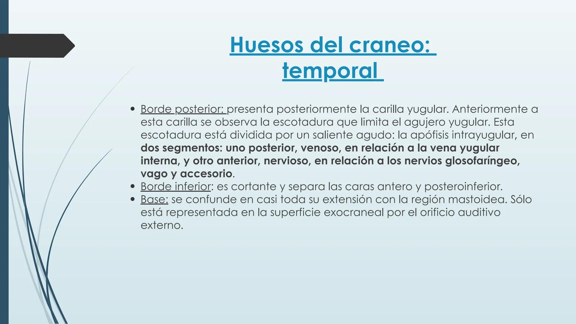 # HUESOS DE CARA Y
# CRANEO
UNIVERSIDAD GASTON DACHARY
Lic. Barrios, Renzo Nicolas HUESOS DE LA CABEZA
• El esqueleto de la
cabeza se divid