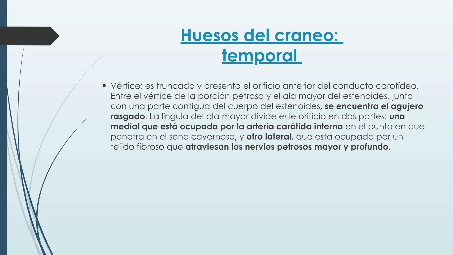 # HUESOS DE CARA Y
# CRANEO
UNIVERSIDAD GASTON DACHARY
Lic. Barrios, Renzo Nicolas HUESOS DE LA CABEZA
• El esqueleto de la
cabeza se divid