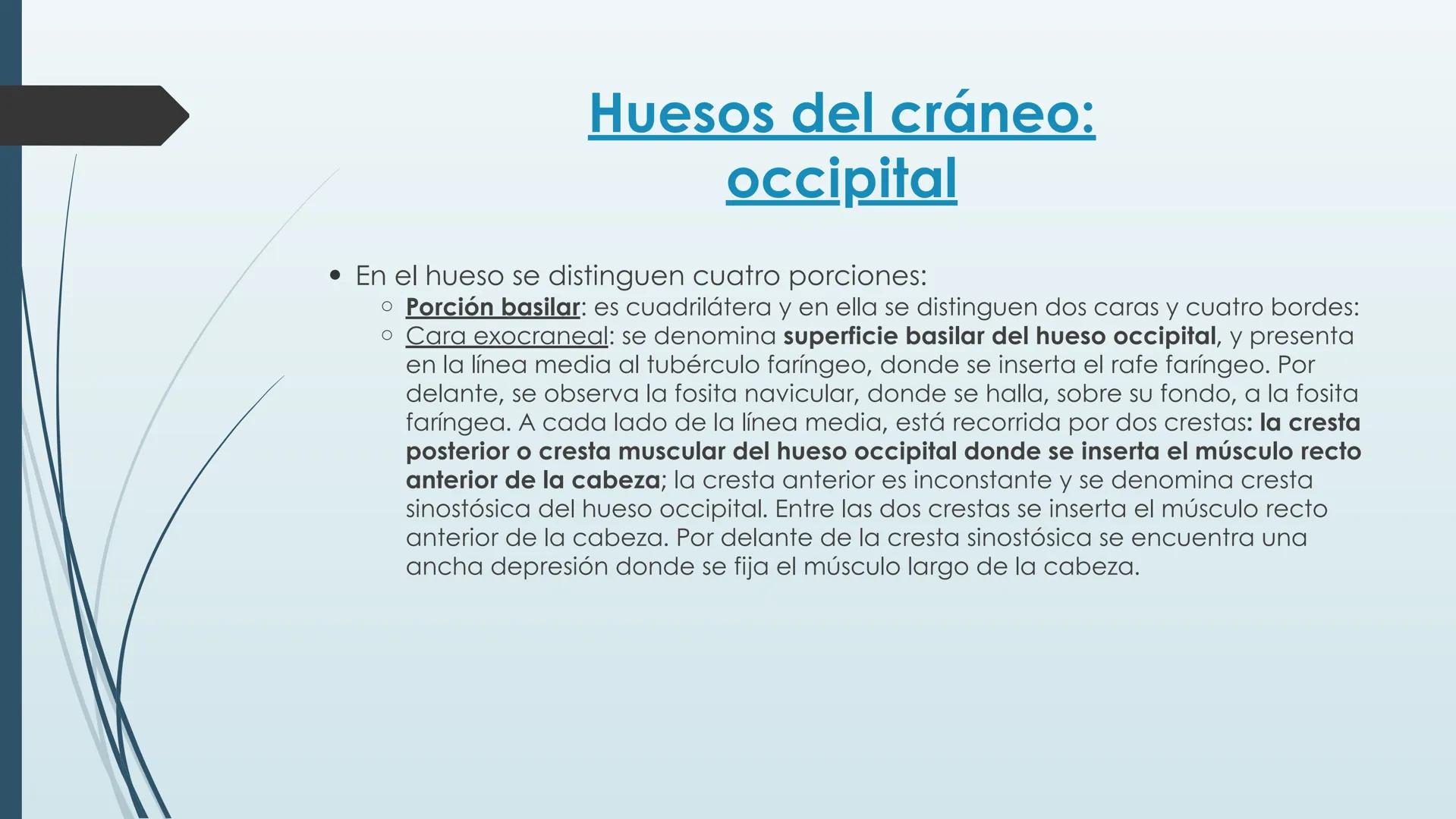 # HUESOS DE CARA Y
# CRANEO
UNIVERSIDAD GASTON DACHARY
Lic. Barrios, Renzo Nicolas HUESOS DE LA CABEZA
• El esqueleto de la
cabeza se divid