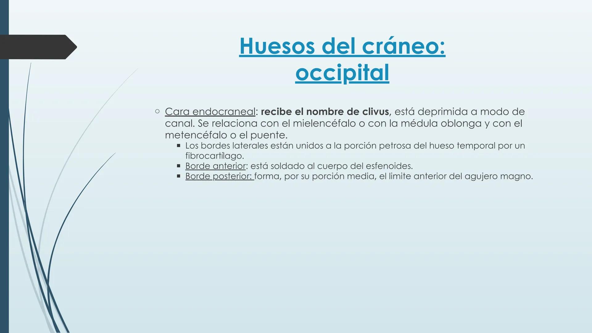 # HUESOS DE CARA Y
# CRANEO
UNIVERSIDAD GASTON DACHARY
Lic. Barrios, Renzo Nicolas HUESOS DE LA CABEZA
• El esqueleto de la
cabeza se divid