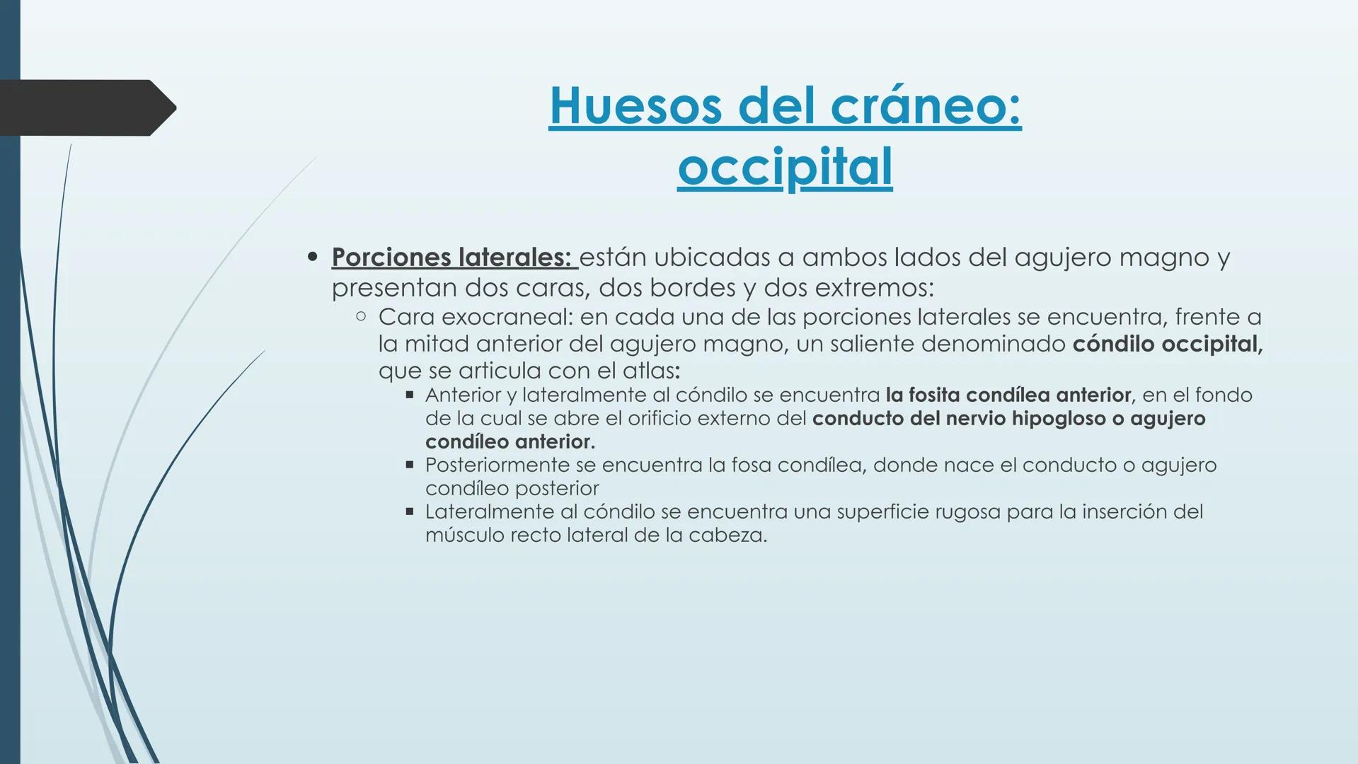 # HUESOS DE CARA Y
# CRANEO
UNIVERSIDAD GASTON DACHARY
Lic. Barrios, Renzo Nicolas HUESOS DE LA CABEZA
• El esqueleto de la
cabeza se divid
