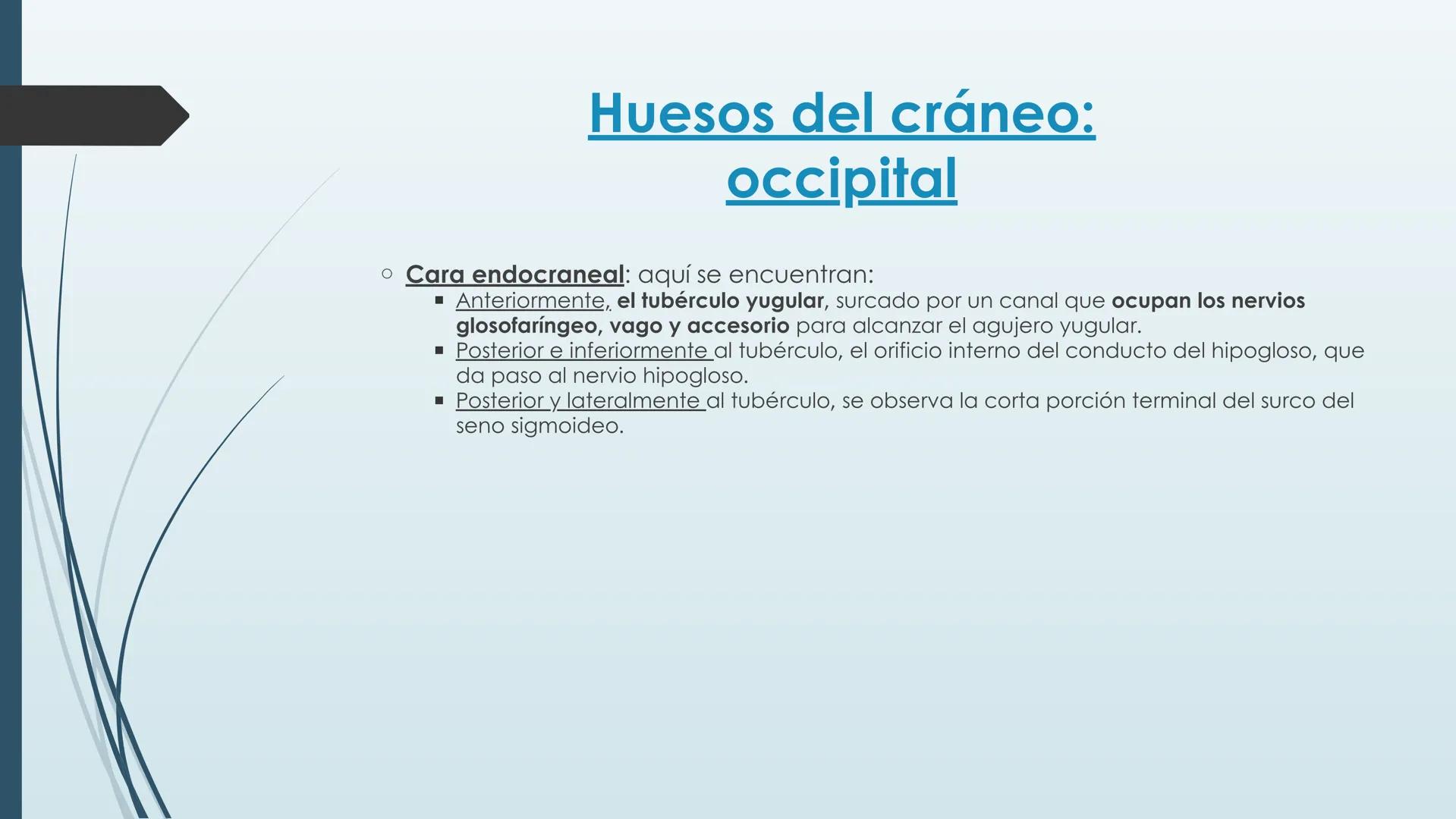 # HUESOS DE CARA Y
# CRANEO
UNIVERSIDAD GASTON DACHARY
Lic. Barrios, Renzo Nicolas HUESOS DE LA CABEZA
• El esqueleto de la
cabeza se divid
