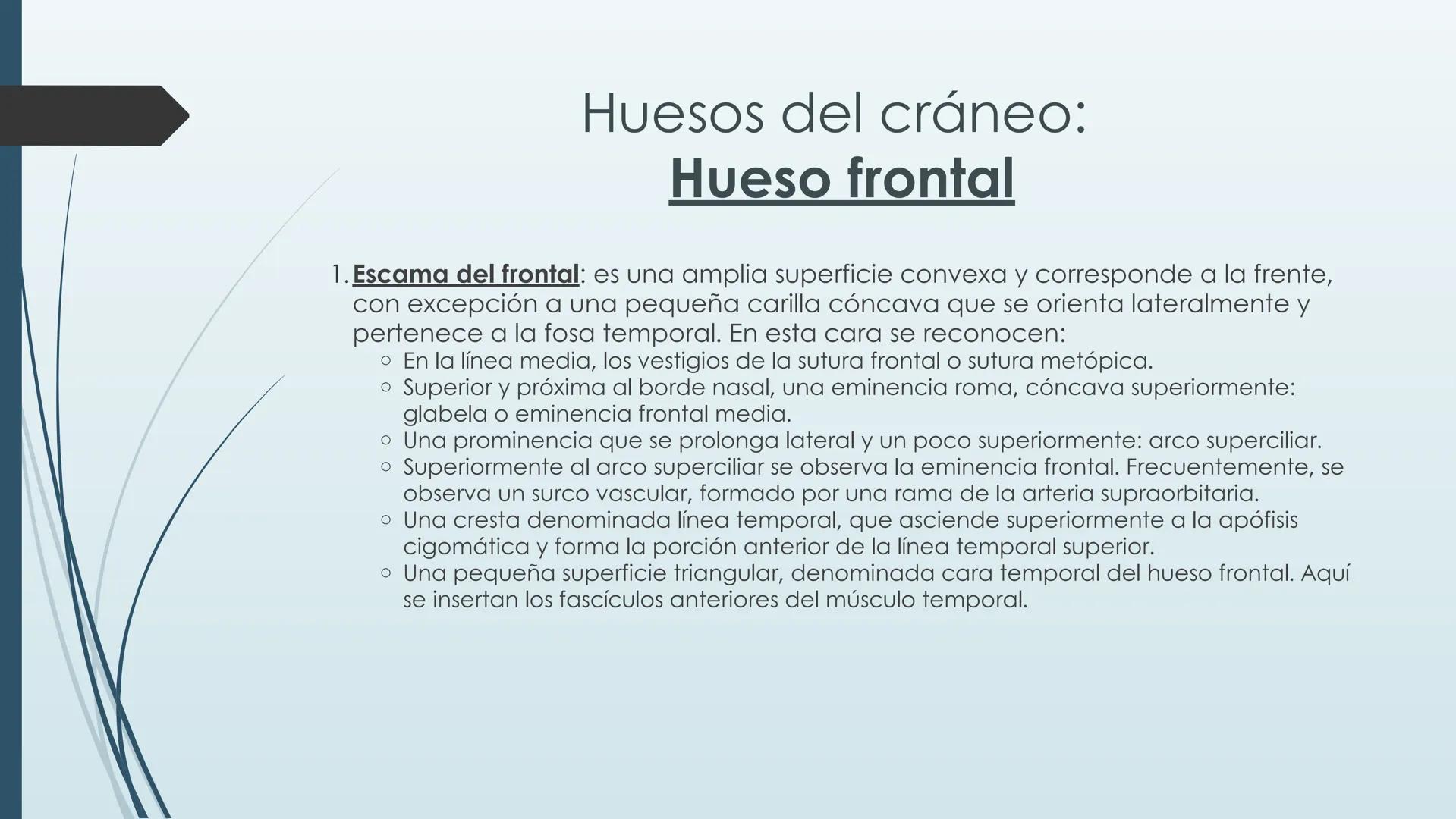# HUESOS DE CARA Y
# CRANEO
UNIVERSIDAD GASTON DACHARY
Lic. Barrios, Renzo Nicolas HUESOS DE LA CABEZA
• El esqueleto de la
cabeza se divid