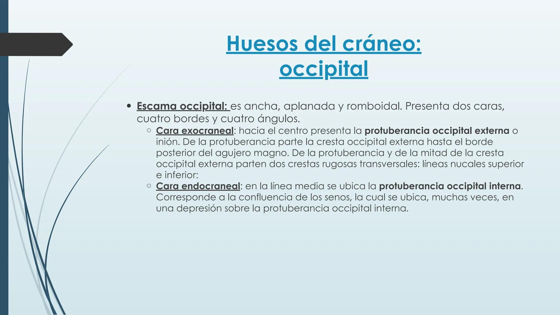 # HUESOS DE CARA Y
# CRANEO
UNIVERSIDAD GASTON DACHARY
Lic. Barrios, Renzo Nicolas HUESOS DE LA CABEZA
• El esqueleto de la
cabeza se divid