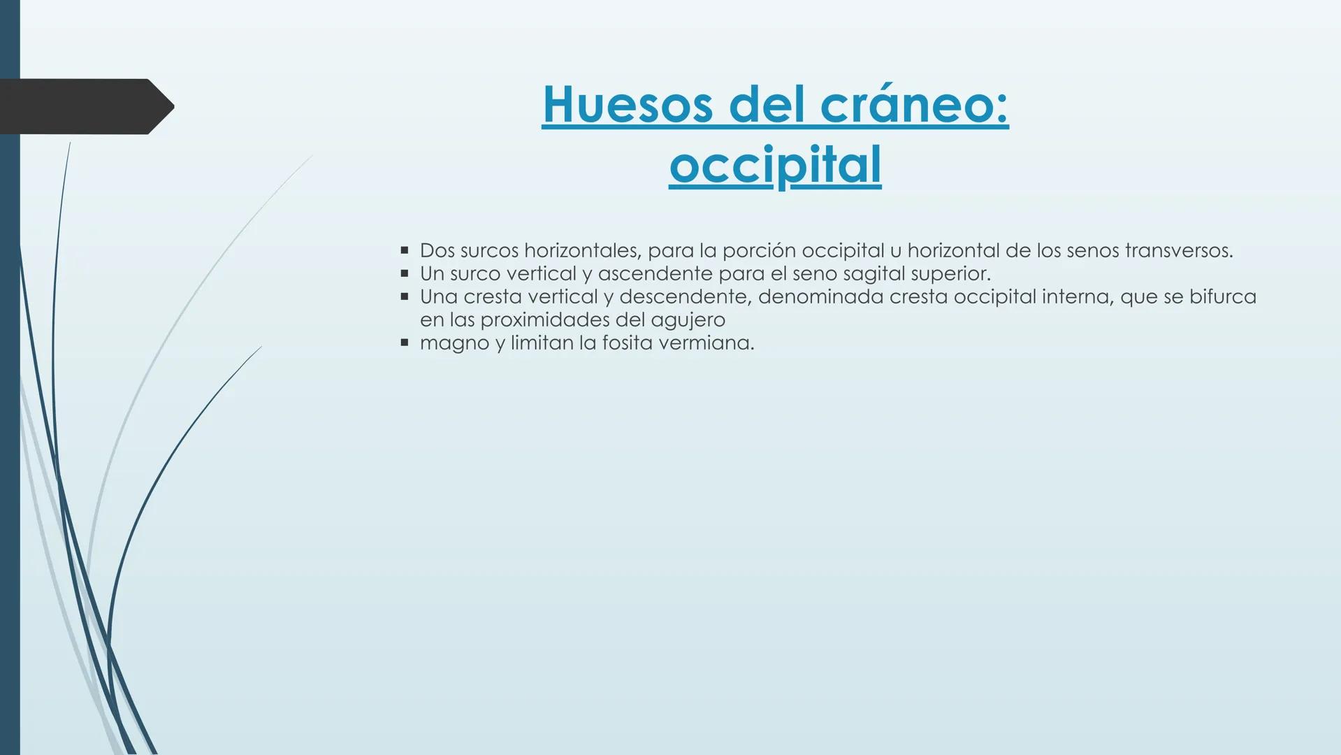 # HUESOS DE CARA Y
# CRANEO
UNIVERSIDAD GASTON DACHARY
Lic. Barrios, Renzo Nicolas HUESOS DE LA CABEZA
• El esqueleto de la
cabeza se divid