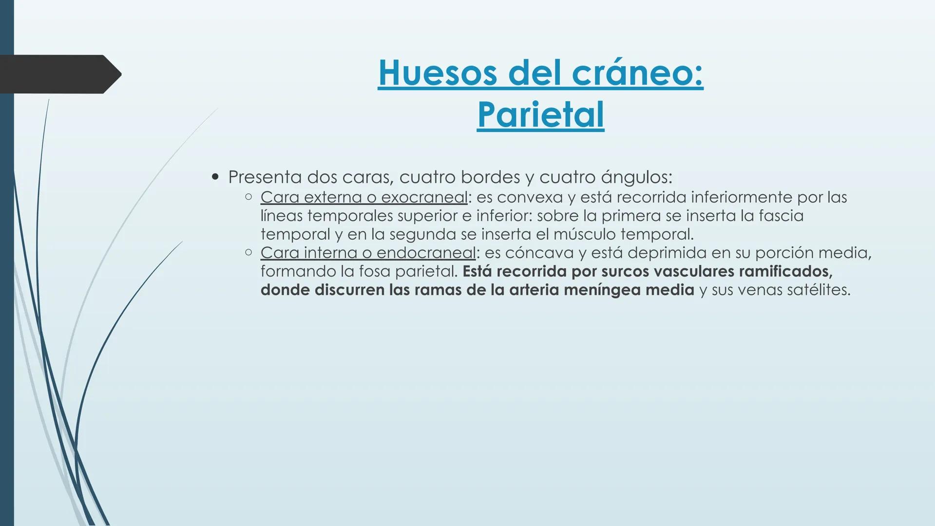 # HUESOS DE CARA Y
# CRANEO
UNIVERSIDAD GASTON DACHARY
Lic. Barrios, Renzo Nicolas HUESOS DE LA CABEZA
• El esqueleto de la
cabeza se divid