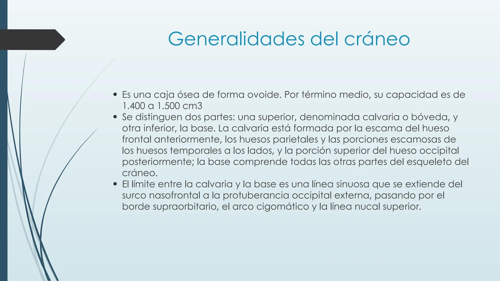 # HUESOS DE CARA Y
# CRANEO
UNIVERSIDAD GASTON DACHARY
Lic. Barrios, Renzo Nicolas HUESOS DE LA CABEZA
• El esqueleto de la
cabeza se divid