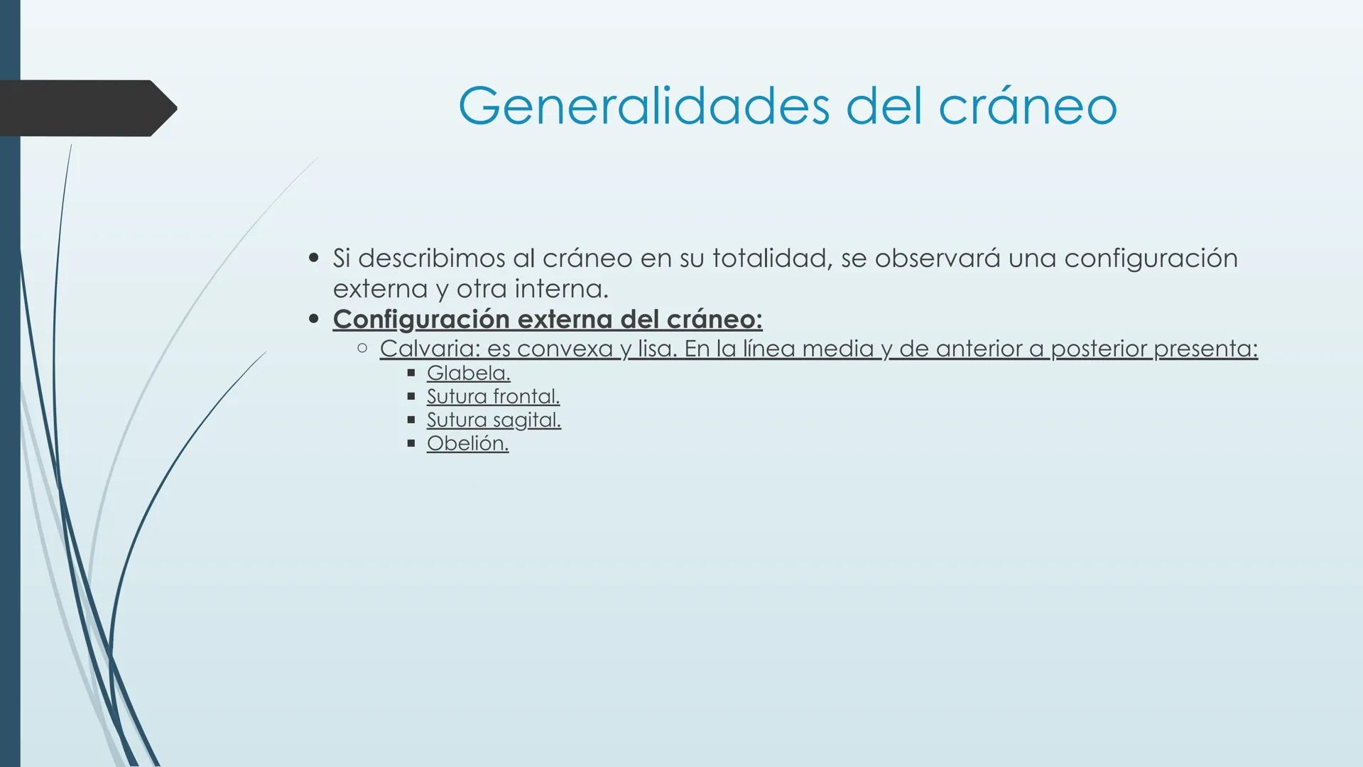 # HUESOS DE CARA Y
# CRANEO
UNIVERSIDAD GASTON DACHARY
Lic. Barrios, Renzo Nicolas HUESOS DE LA CABEZA
• El esqueleto de la
cabeza se divid