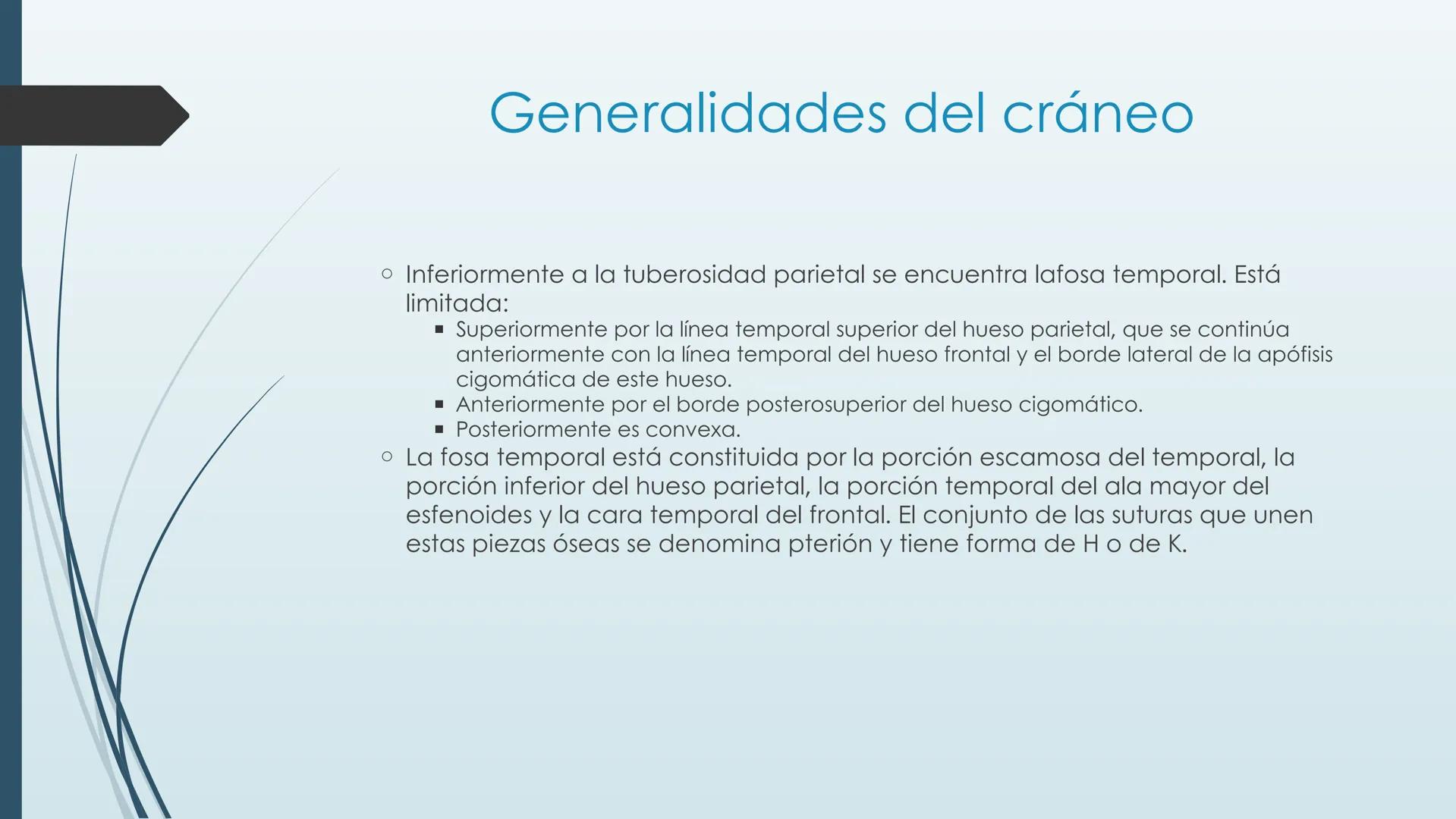 # HUESOS DE CARA Y
# CRANEO
UNIVERSIDAD GASTON DACHARY
Lic. Barrios, Renzo Nicolas HUESOS DE LA CABEZA
• El esqueleto de la
cabeza se divid