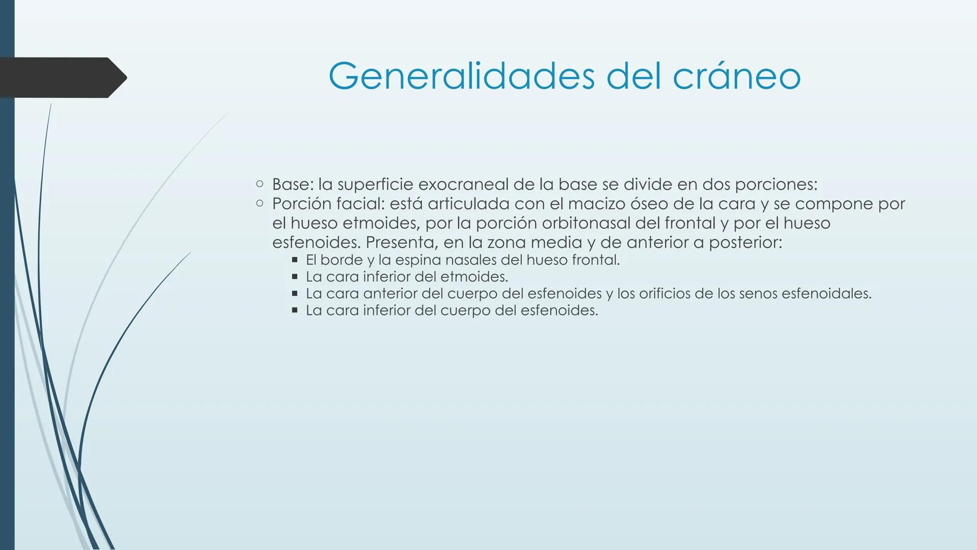 # HUESOS DE CARA Y
# CRANEO
UNIVERSIDAD GASTON DACHARY
Lic. Barrios, Renzo Nicolas HUESOS DE LA CABEZA
• El esqueleto de la
cabeza se divid