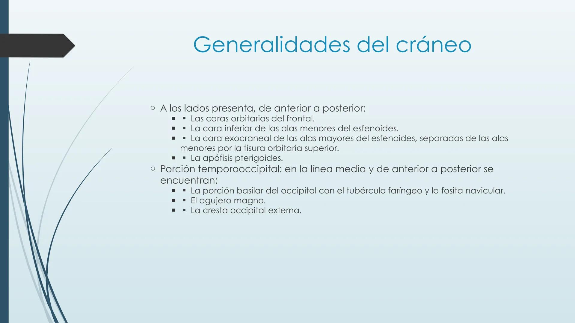 # HUESOS DE CARA Y
# CRANEO
UNIVERSIDAD GASTON DACHARY
Lic. Barrios, Renzo Nicolas HUESOS DE LA CABEZA
• El esqueleto de la
cabeza se divid