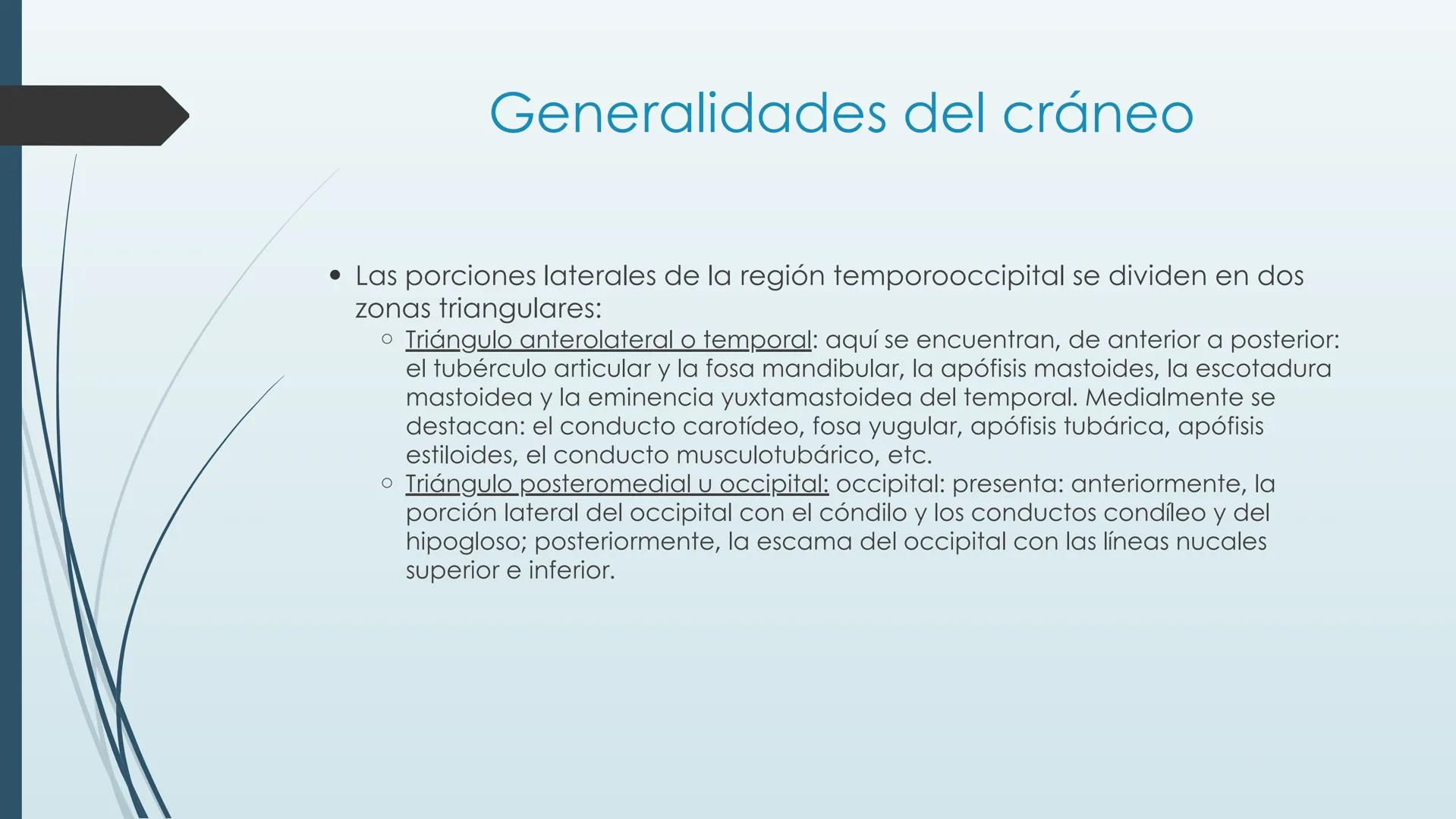 # HUESOS DE CARA Y
# CRANEO
UNIVERSIDAD GASTON DACHARY
Lic. Barrios, Renzo Nicolas HUESOS DE LA CABEZA
• El esqueleto de la
cabeza se divid